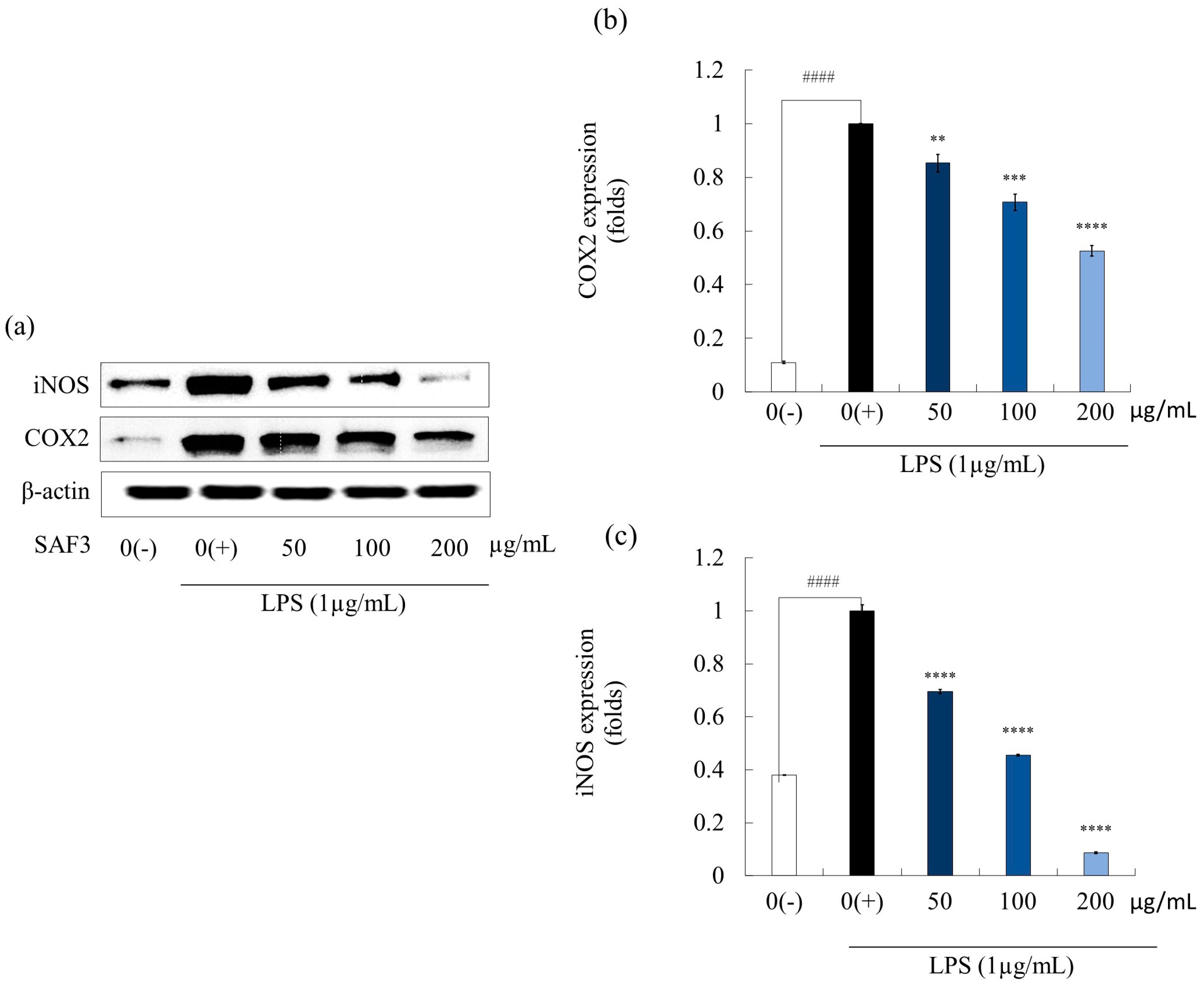 Marinedrugs 21 00374 g003 Marinedrugs 21 00374 g003