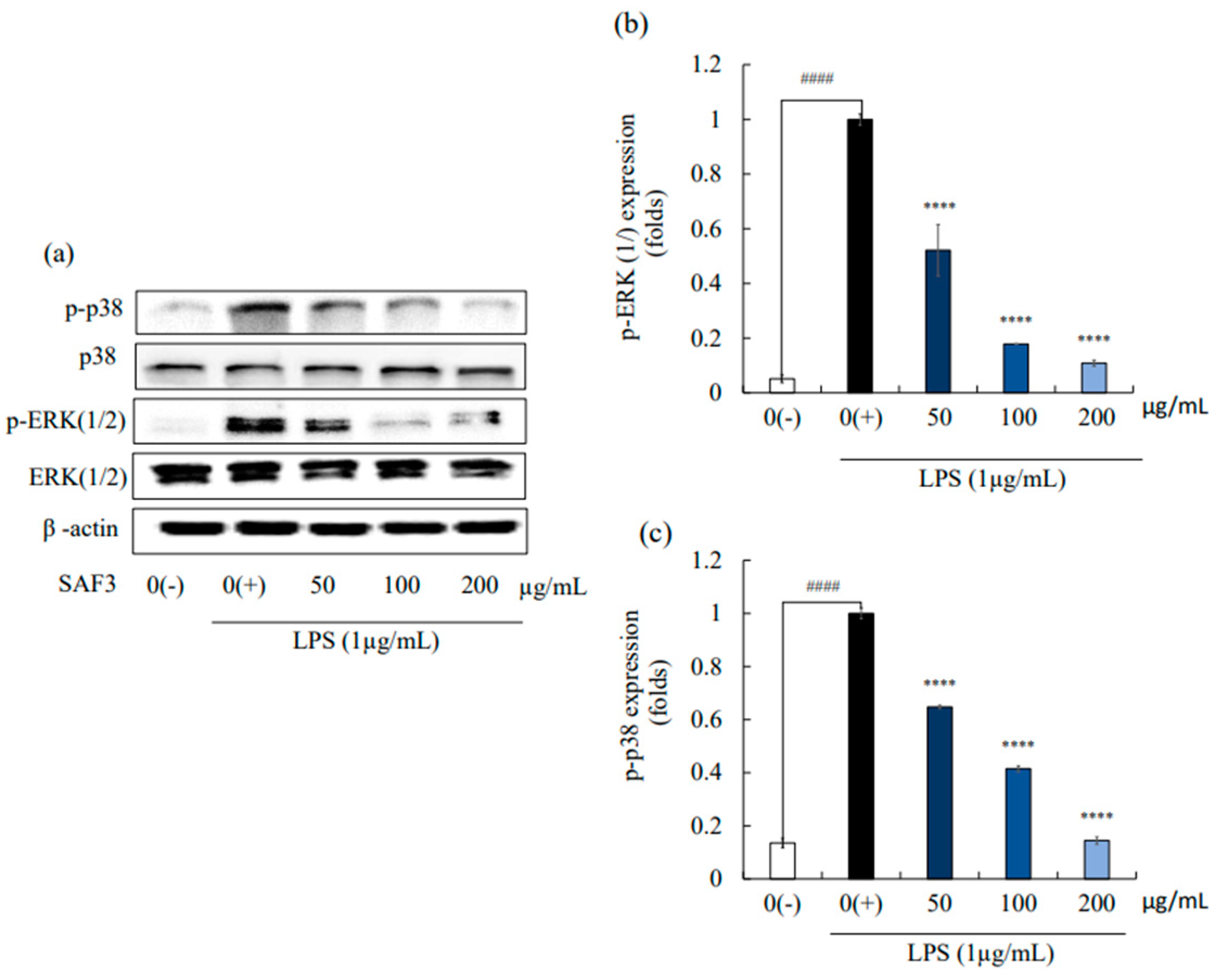 Marinedrugs 21 00374 g004 Marinedrugs 21 00374 g004