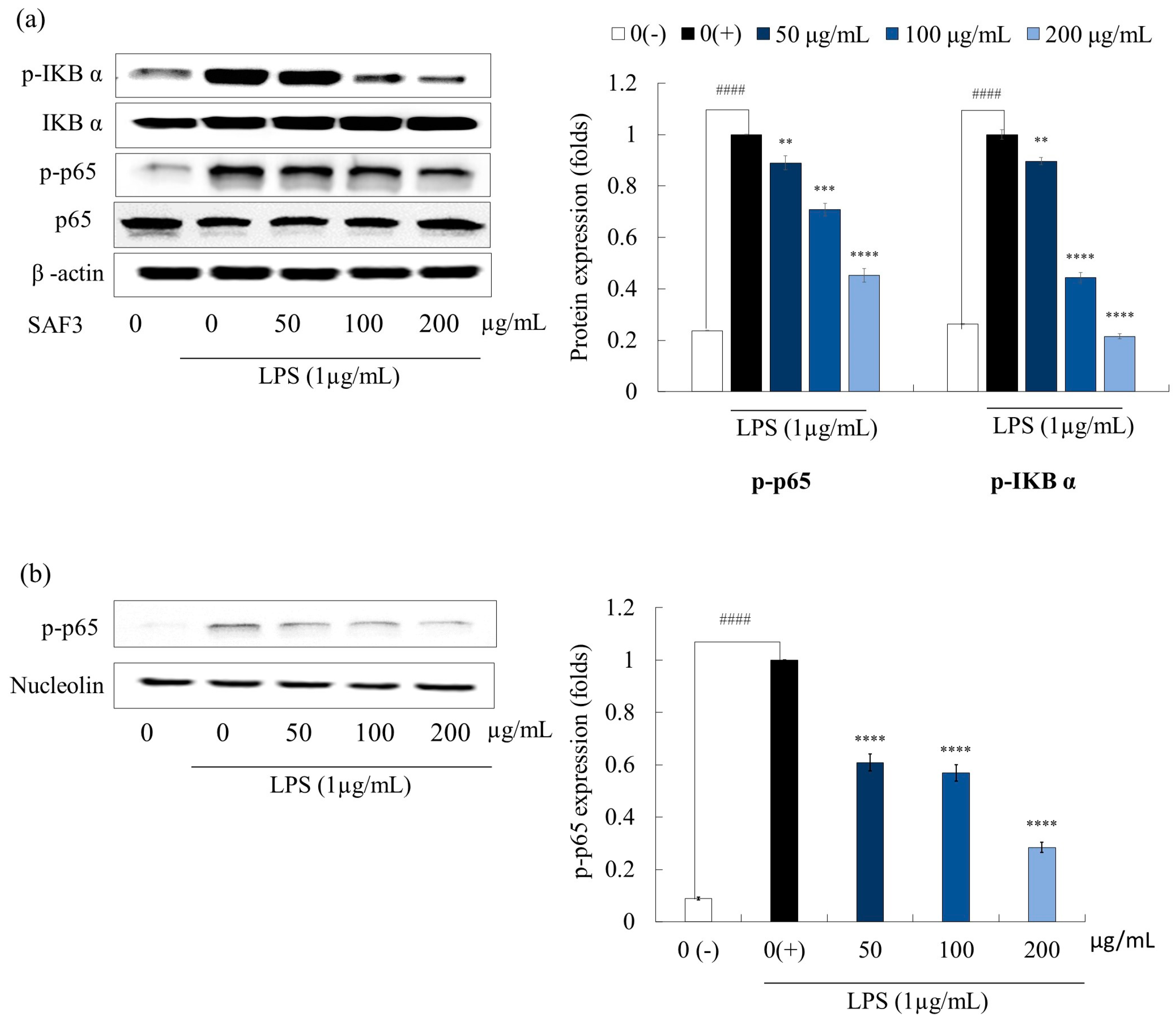 Marinedrugs 21 00374 g005 Marinedrugs 21 00374 g005