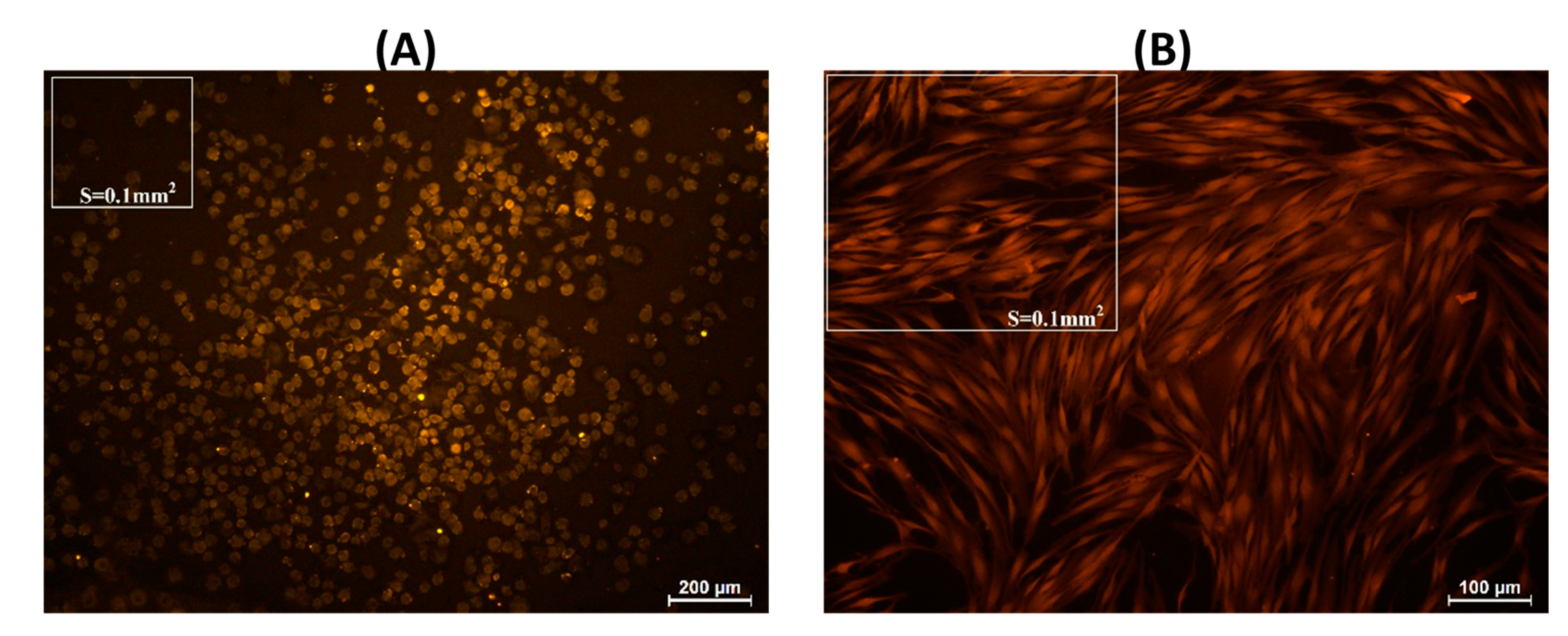 Marinedrugs 21 00375 g012 Marinedrugs 21 00375 g012