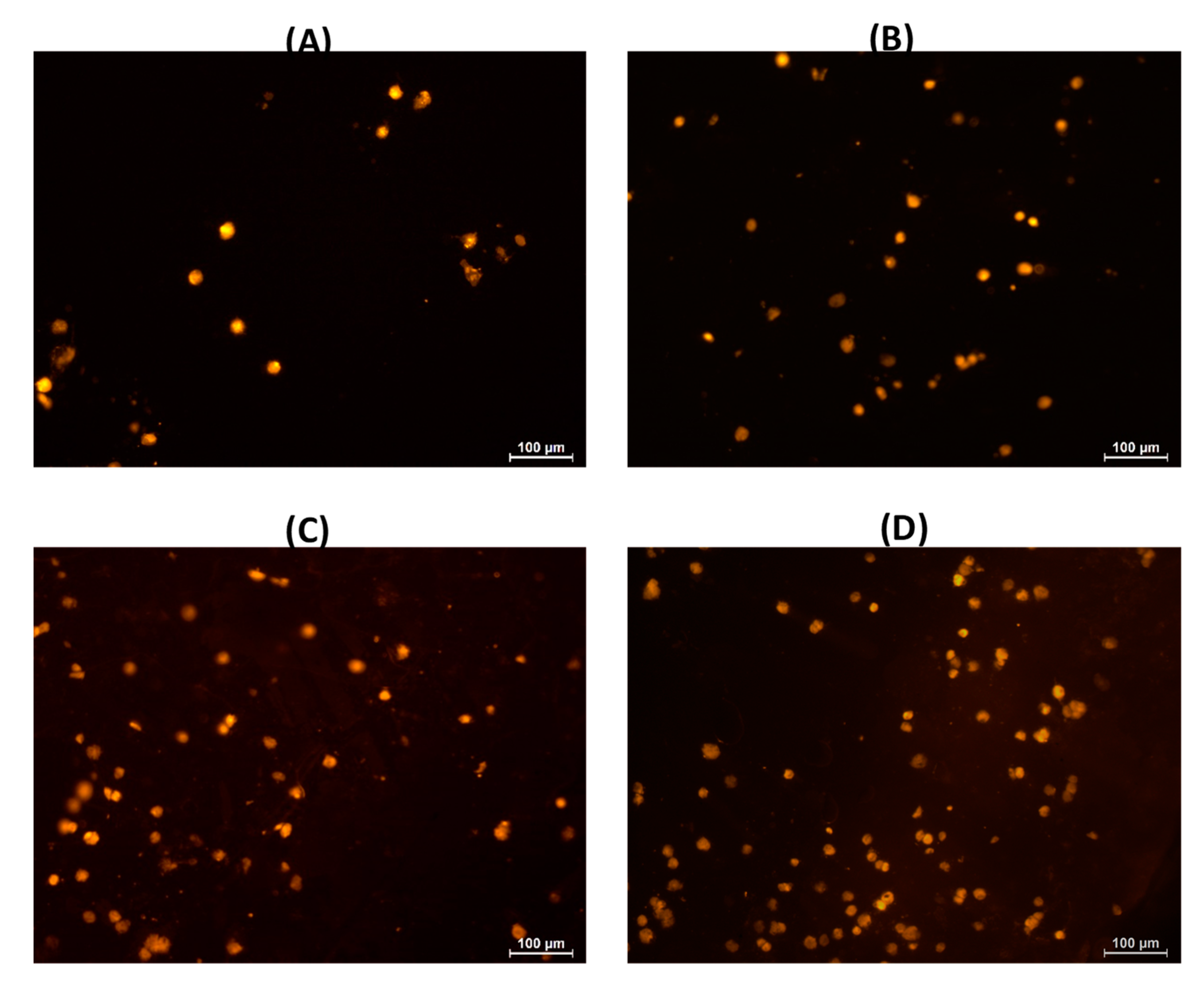 Marinedrugs 21 00375 g013 Marinedrugs 21 00375 g013