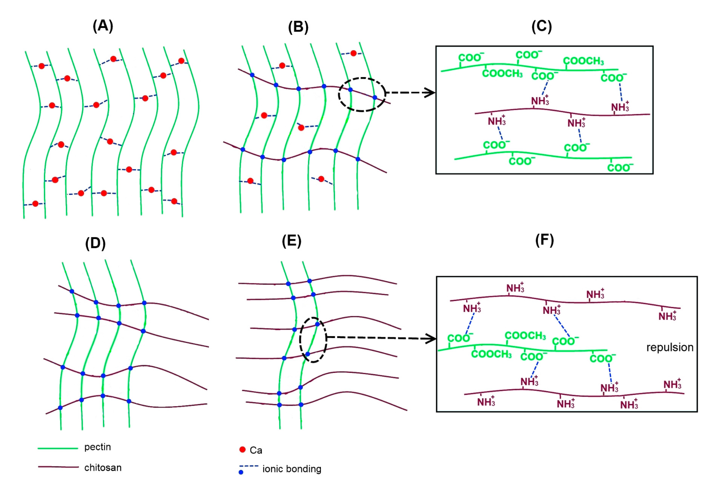 Marinedrugs 21 00375 g014 Marinedrugs 21 00375 g014