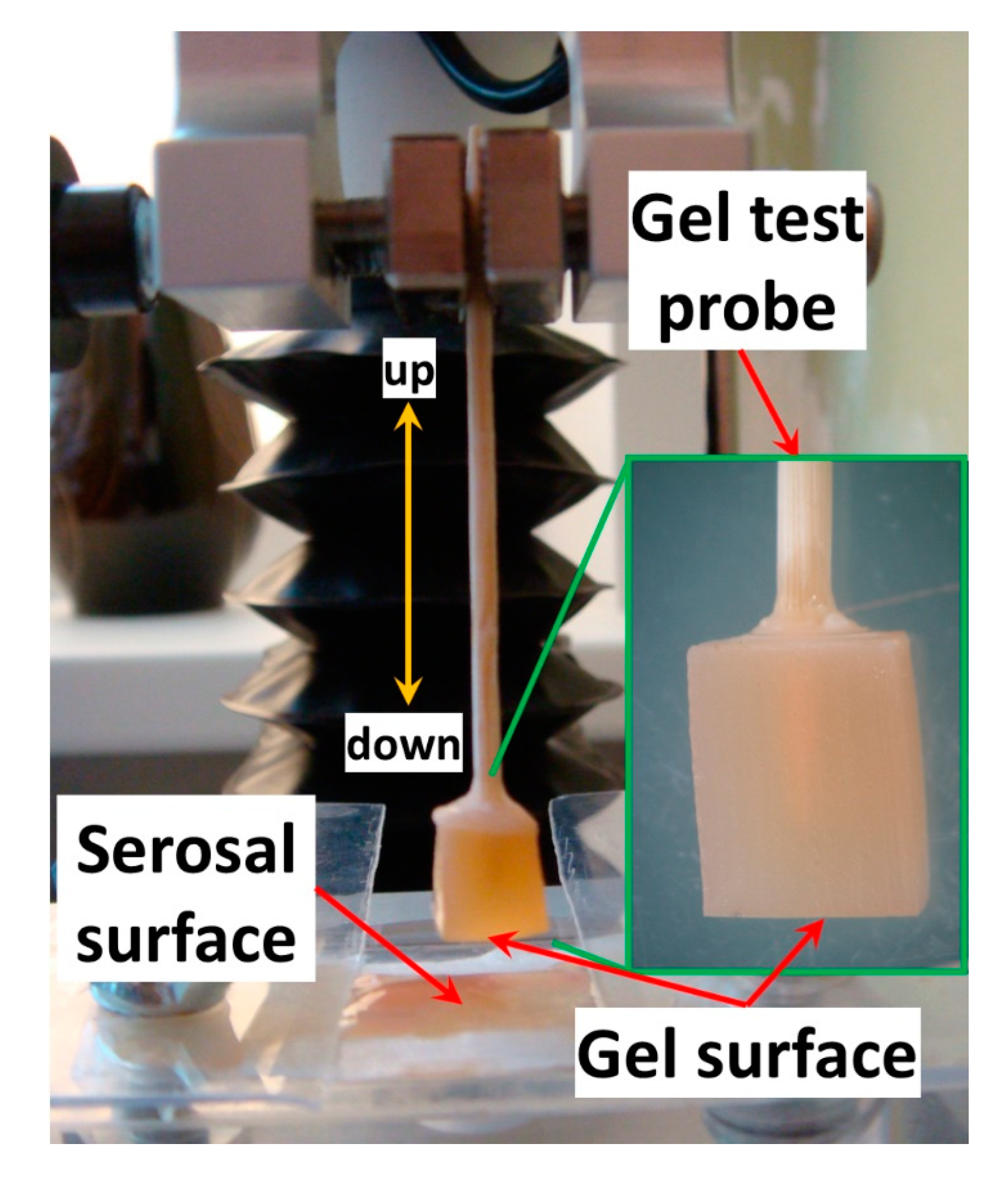 Marinedrugs 21 00375 g015 Marinedrugs 21 00375 g015