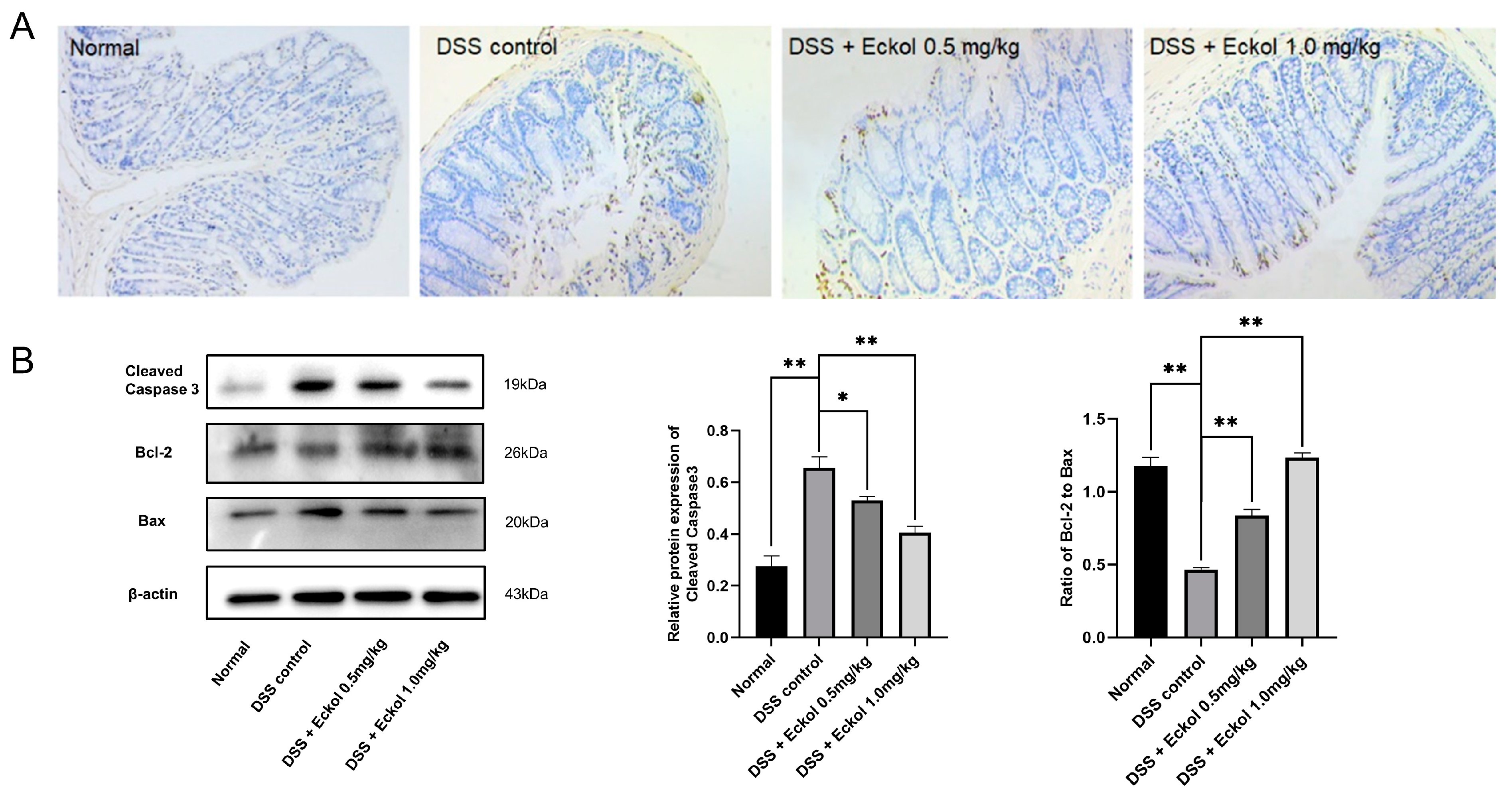 Marinedrugs 21 00376 g002 Marinedrugs 21 00376 g002