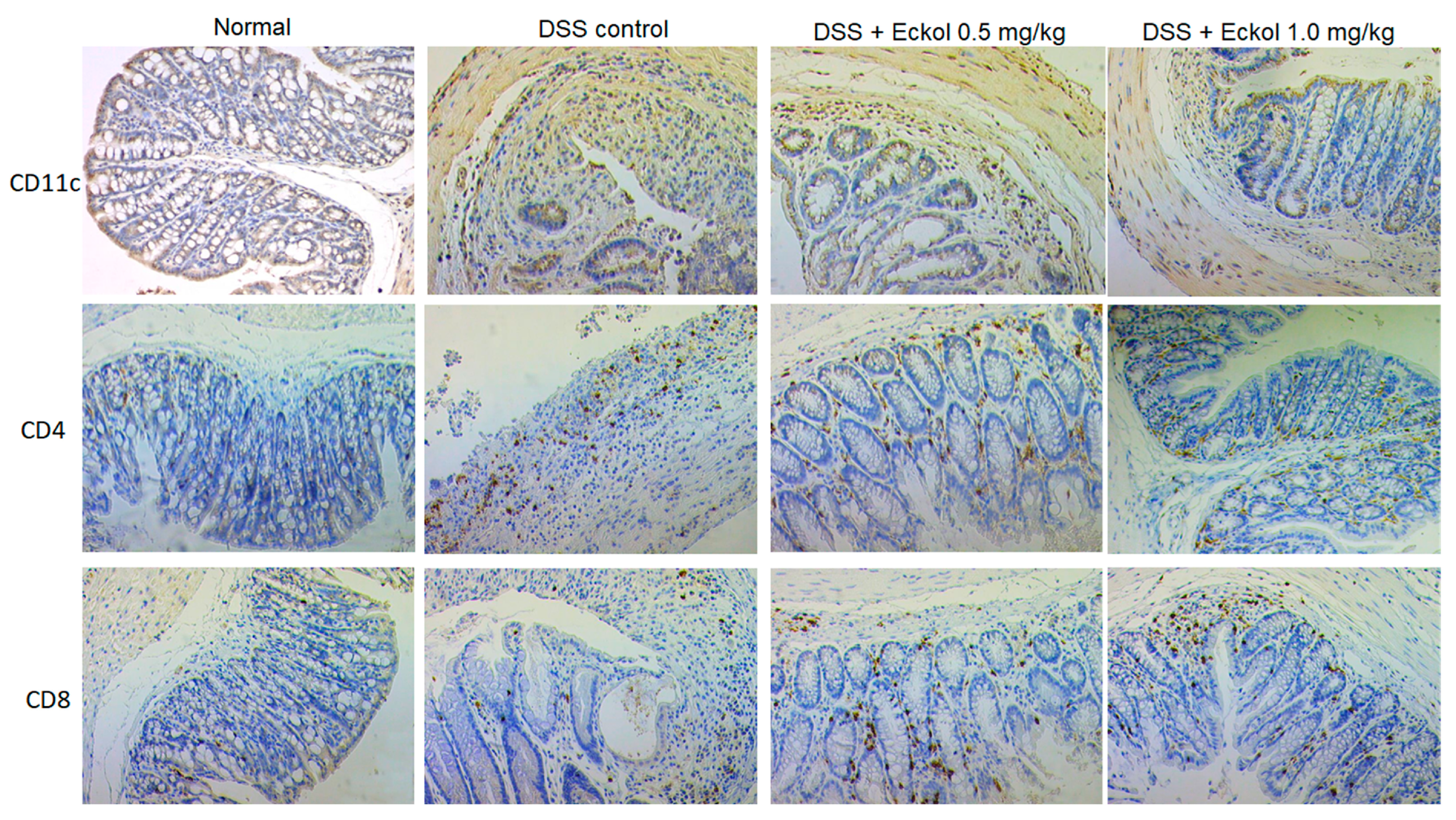 Marinedrugs 21 00376 g003 Marinedrugs 21 00376 g003