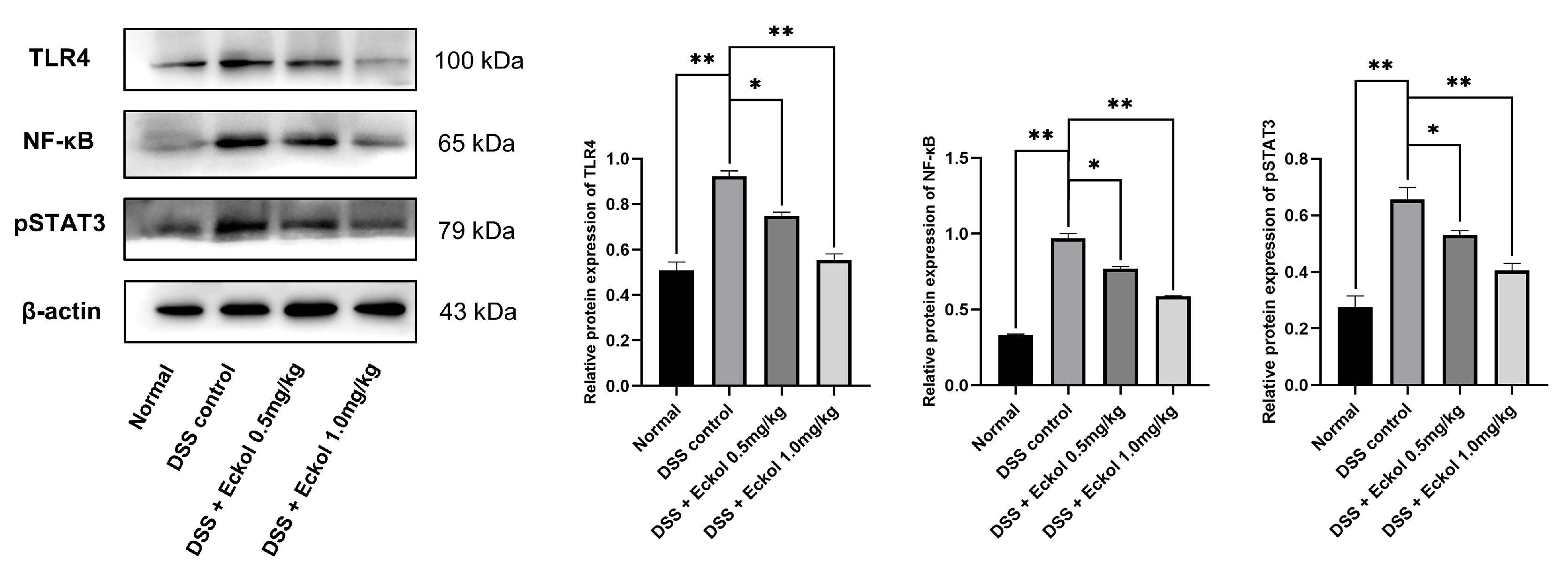 Marinedrugs 21 00376 g004 Marinedrugs 21 00376 g004