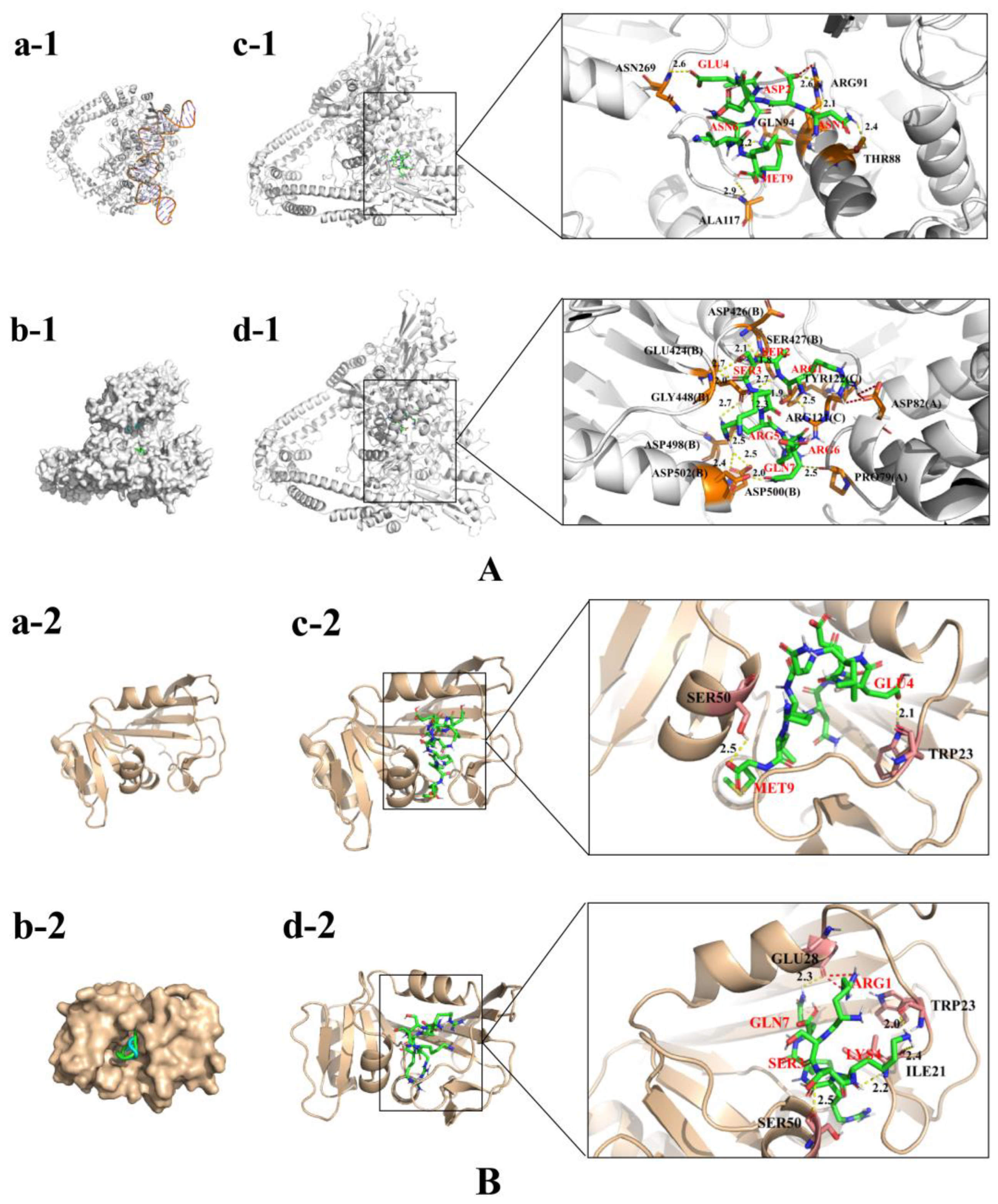 Marinedrugs 21 00386 g003 Marinedrugs 21 00386 g003