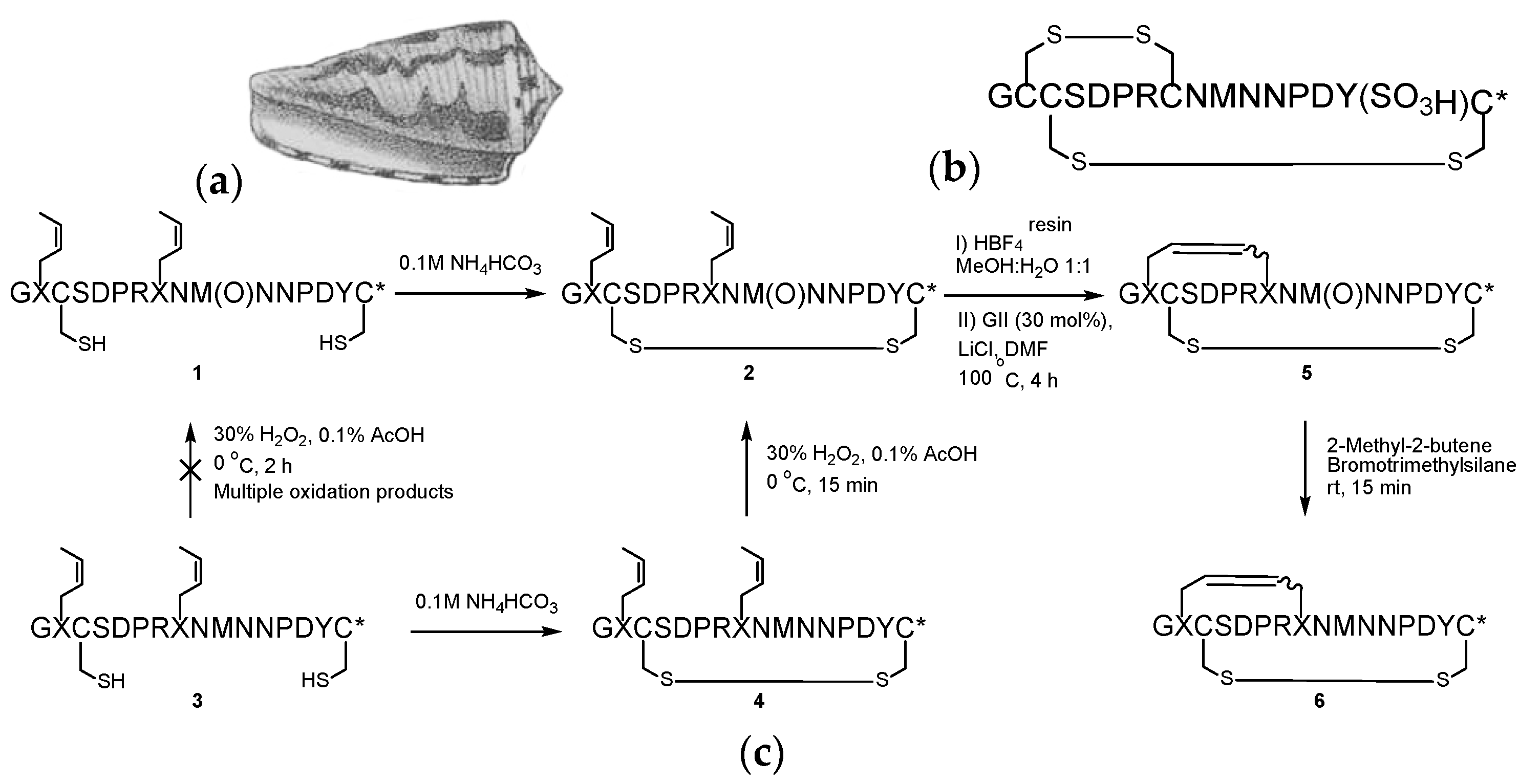 Marinedrugs 21 00390 sch001 Marinedrugs 21 00390 sch001