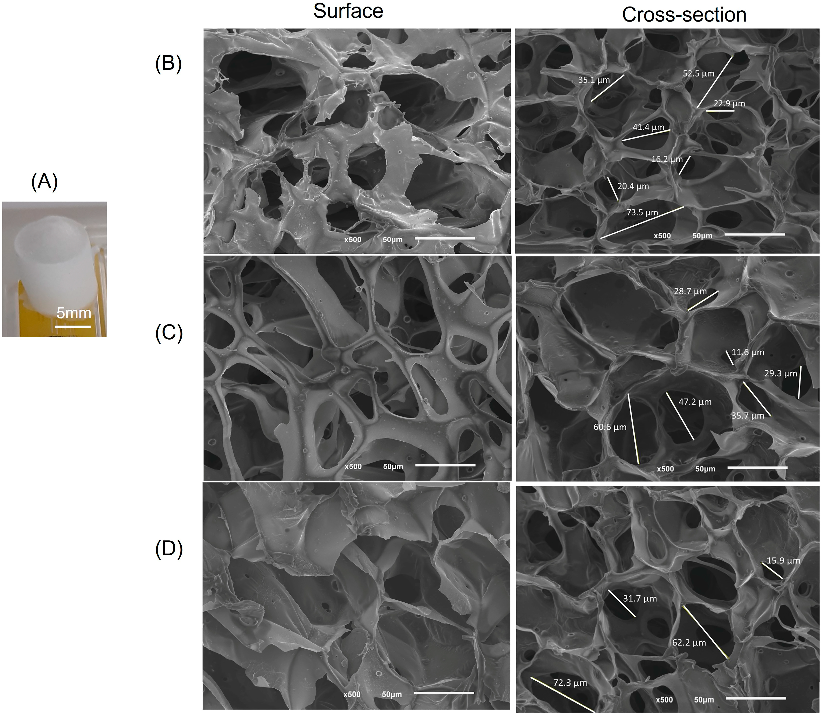 Marinedrugs 21 00394 g002 Marinedrugs 21 00394 g002