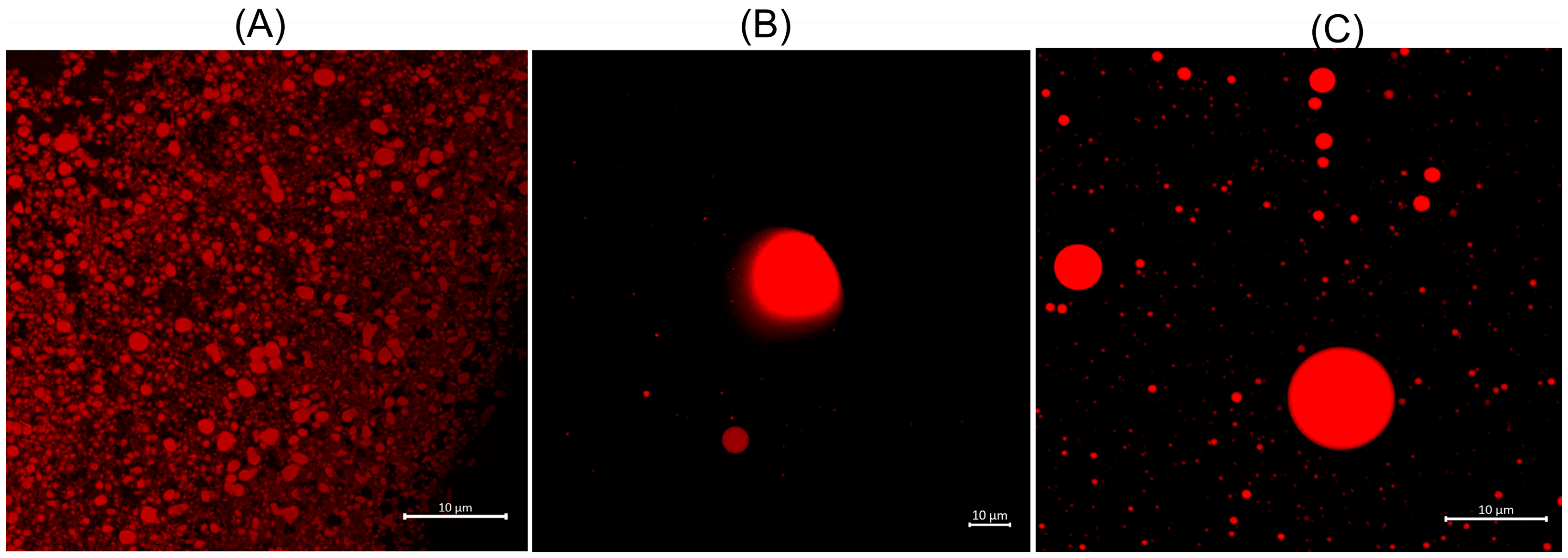 Marinedrugs 21 00394 g006 Marinedrugs 21 00394 g006