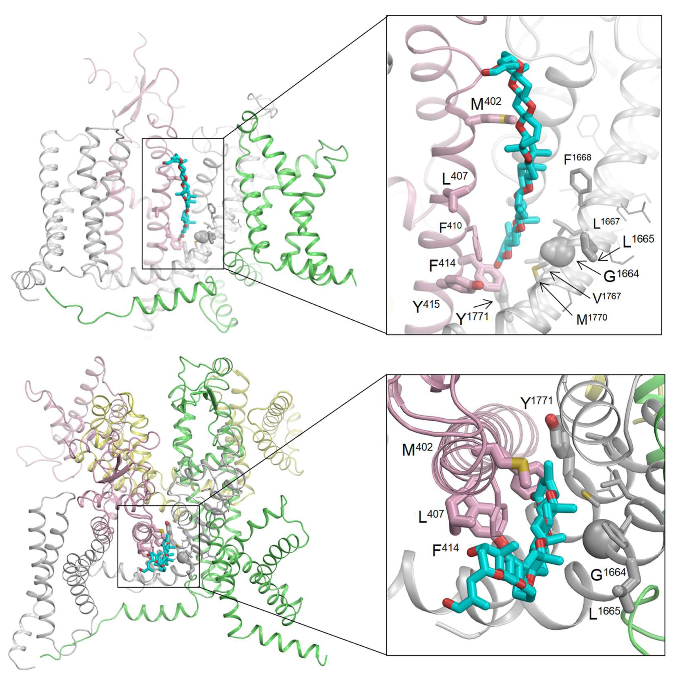 Marinedrugs 21 00396 g006