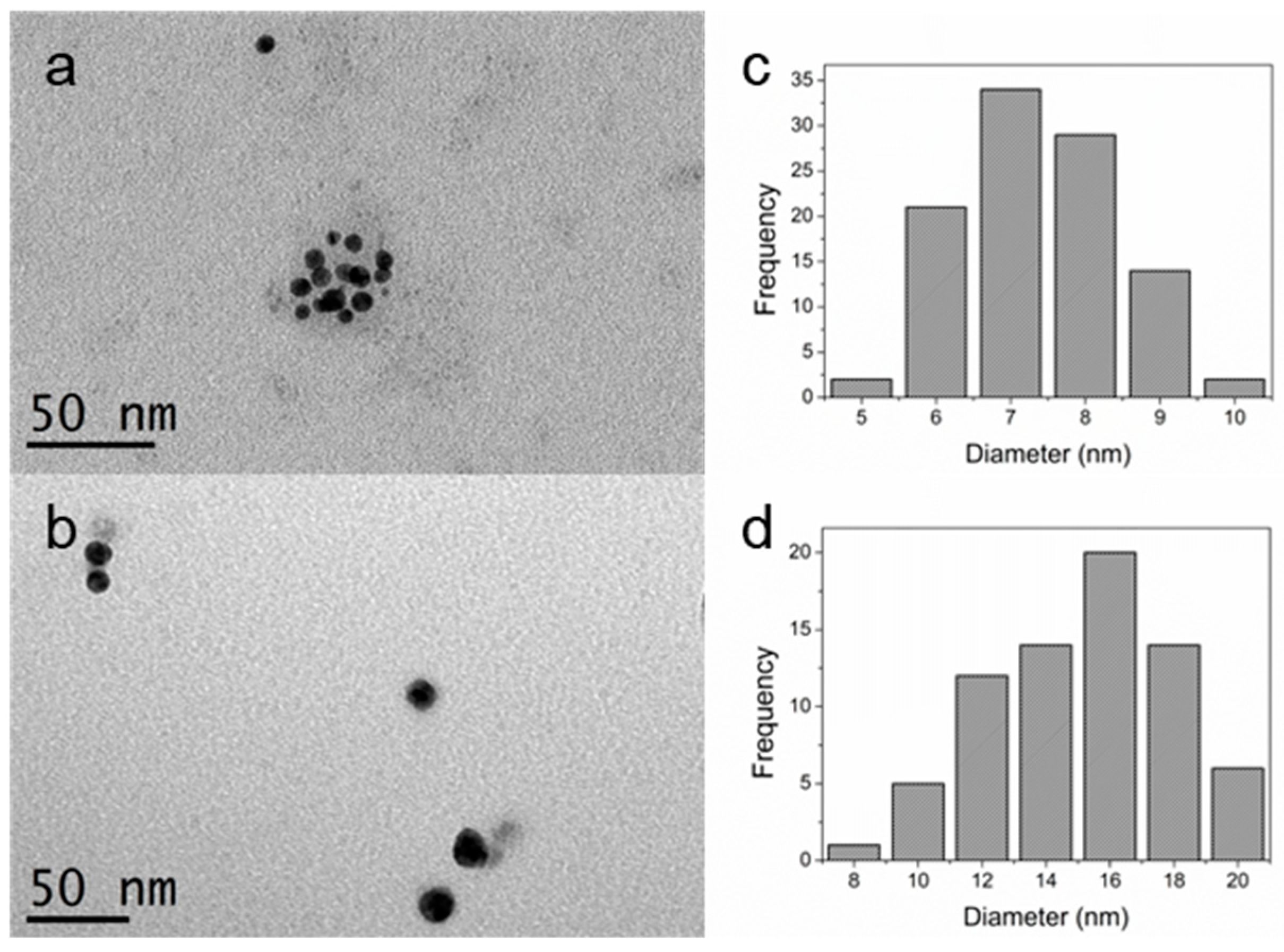 Marinedrugs 21 00397 g002 Marinedrugs 21 00397 g002