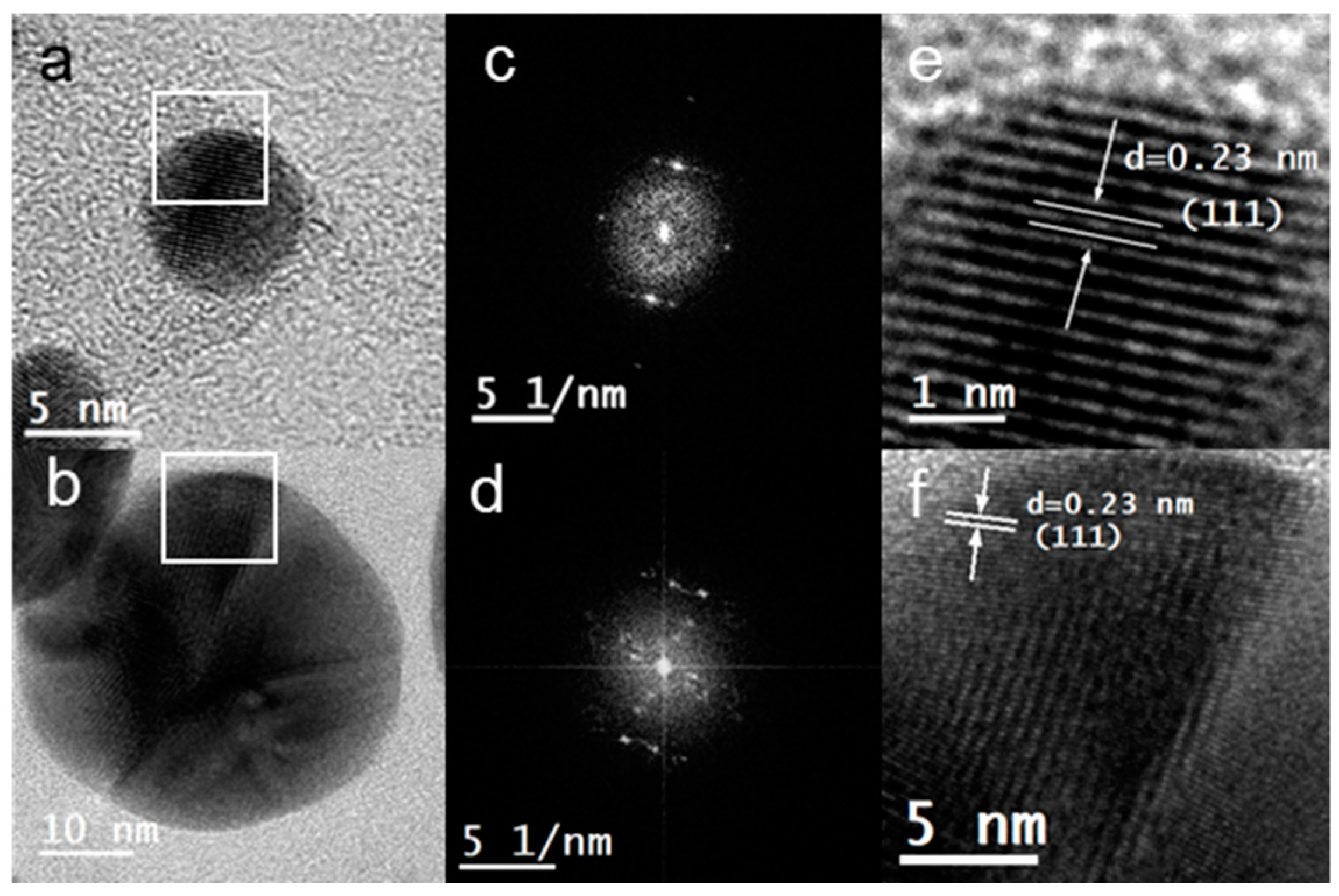 Marinedrugs 21 00397 g003 Marinedrugs 21 00397 g003