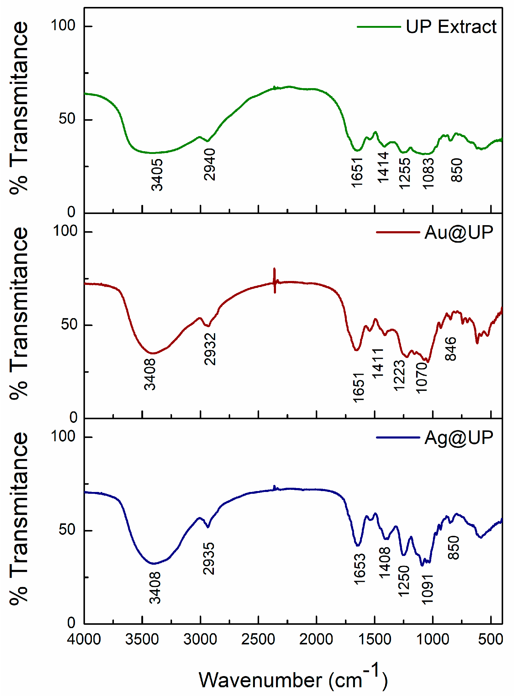 Marinedrugs 21 00397 g006 Marinedrugs 21 00397 g006