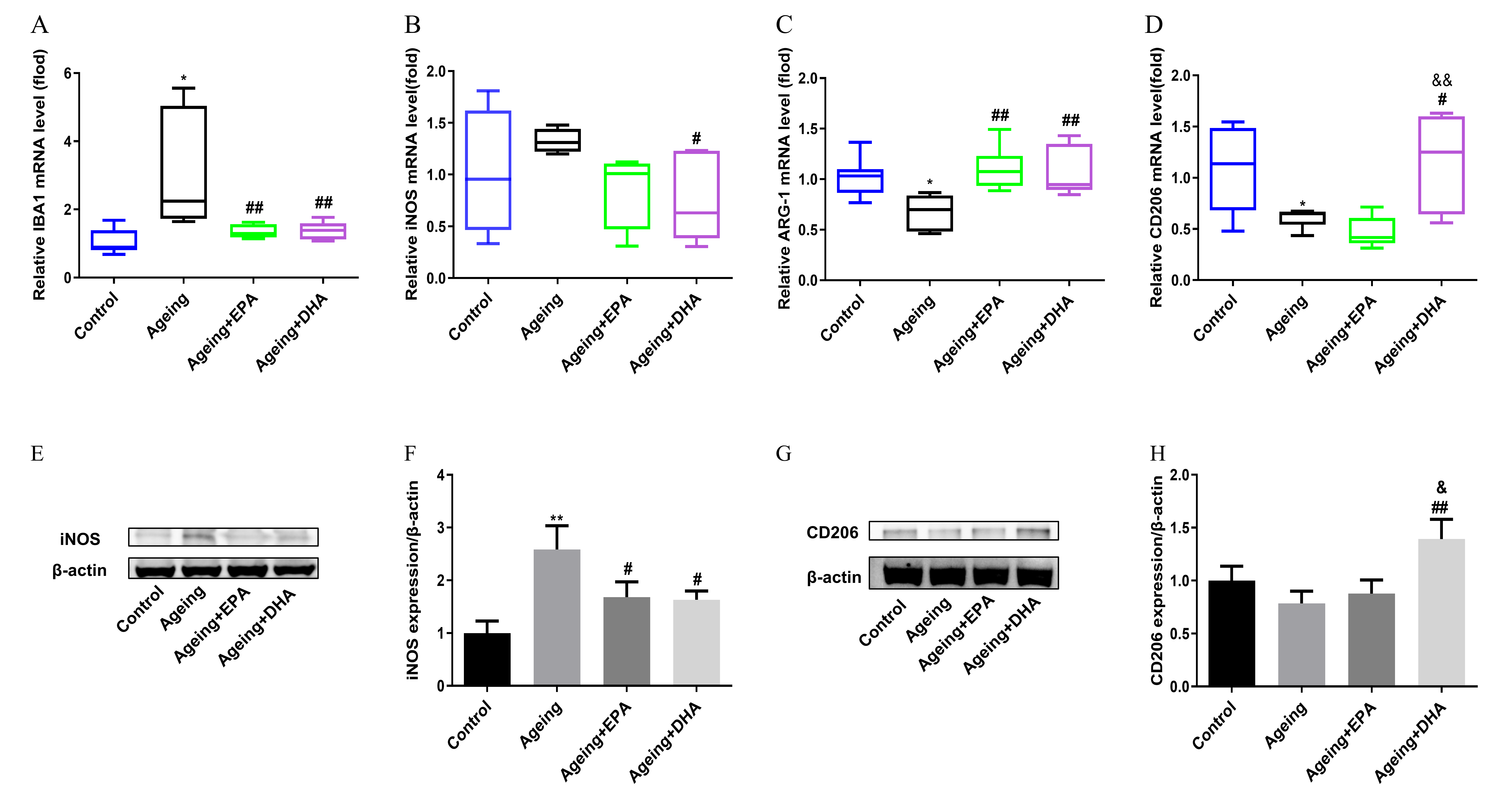 Marinedrugs 21 00398 g003 Marinedrugs 21 00398 g003