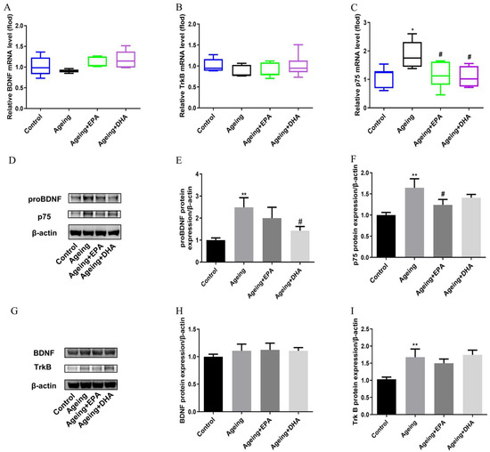 シンプル Omega-3 Polyunsaturated Fatty Acid Eicosapentaenoic Acid or