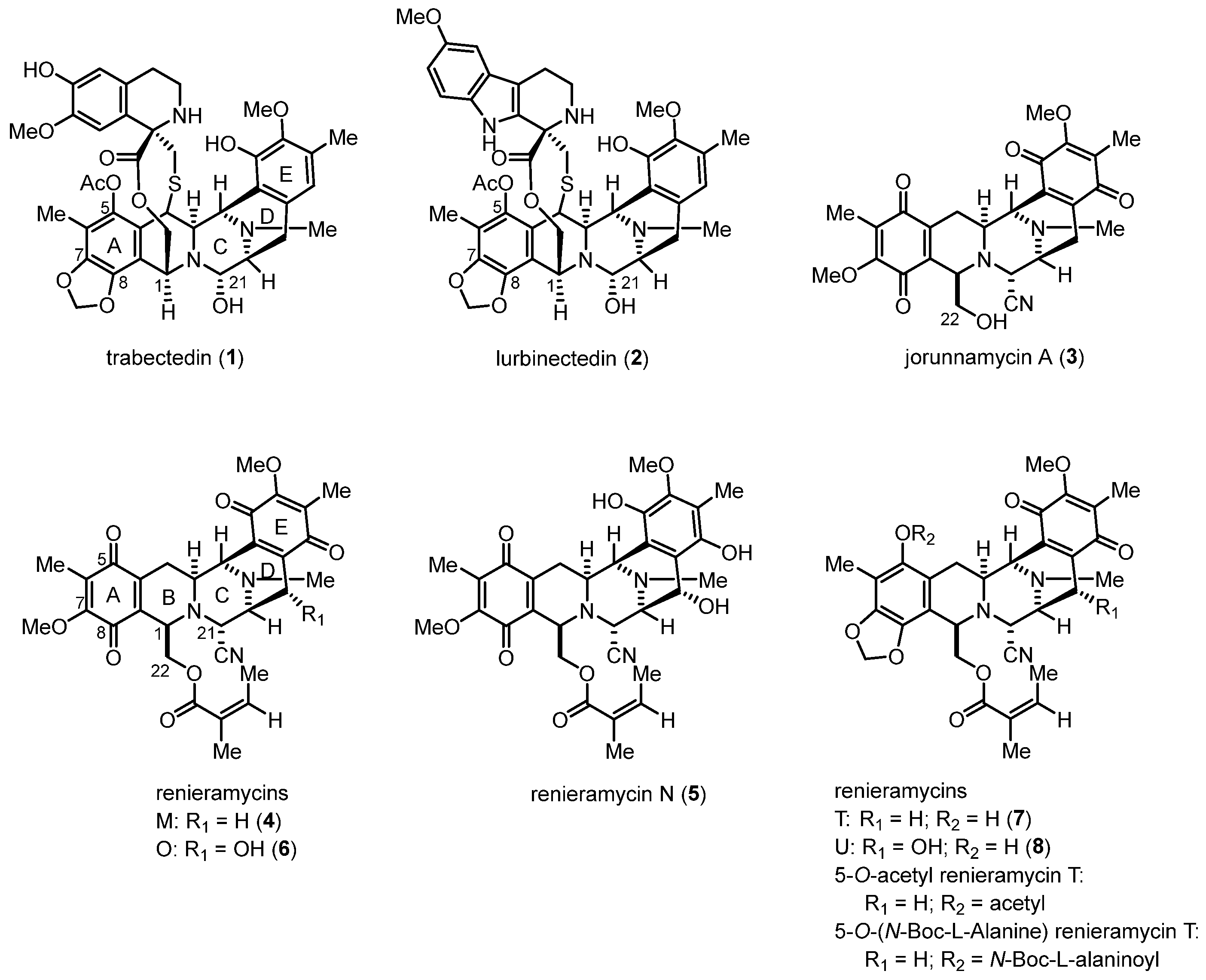 Synthesis of the Tetrahydroisoquinoline Alkaloid (±)-Renieramycin