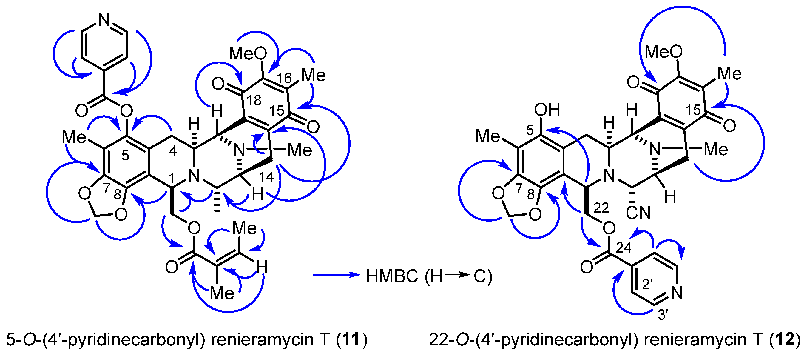 Marinedrugs 21 00400 g003 Marinedrugs 21 00400 g003