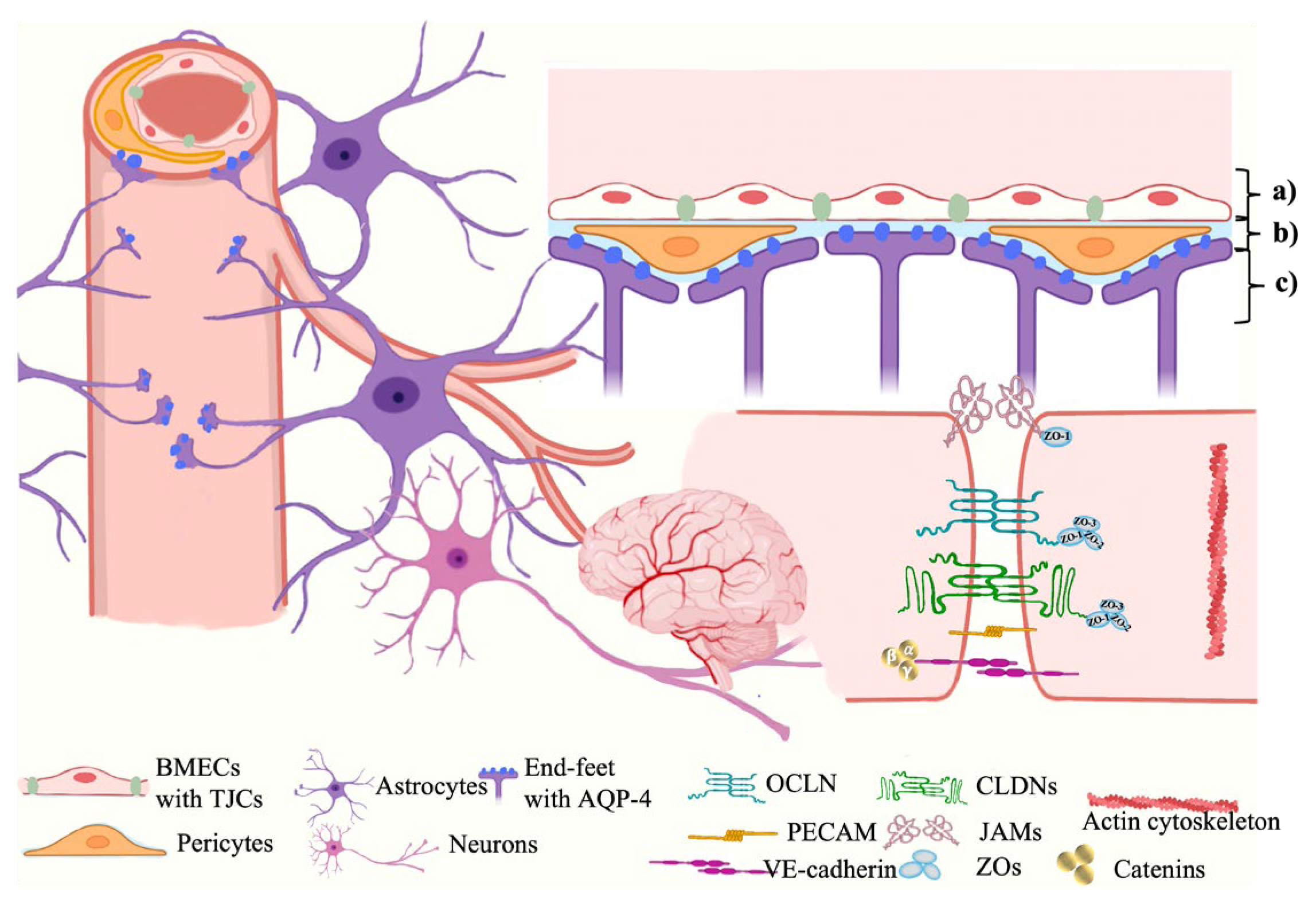 Marinedrugs 21 00406 g001 Marinedrugs 21 00406 g001