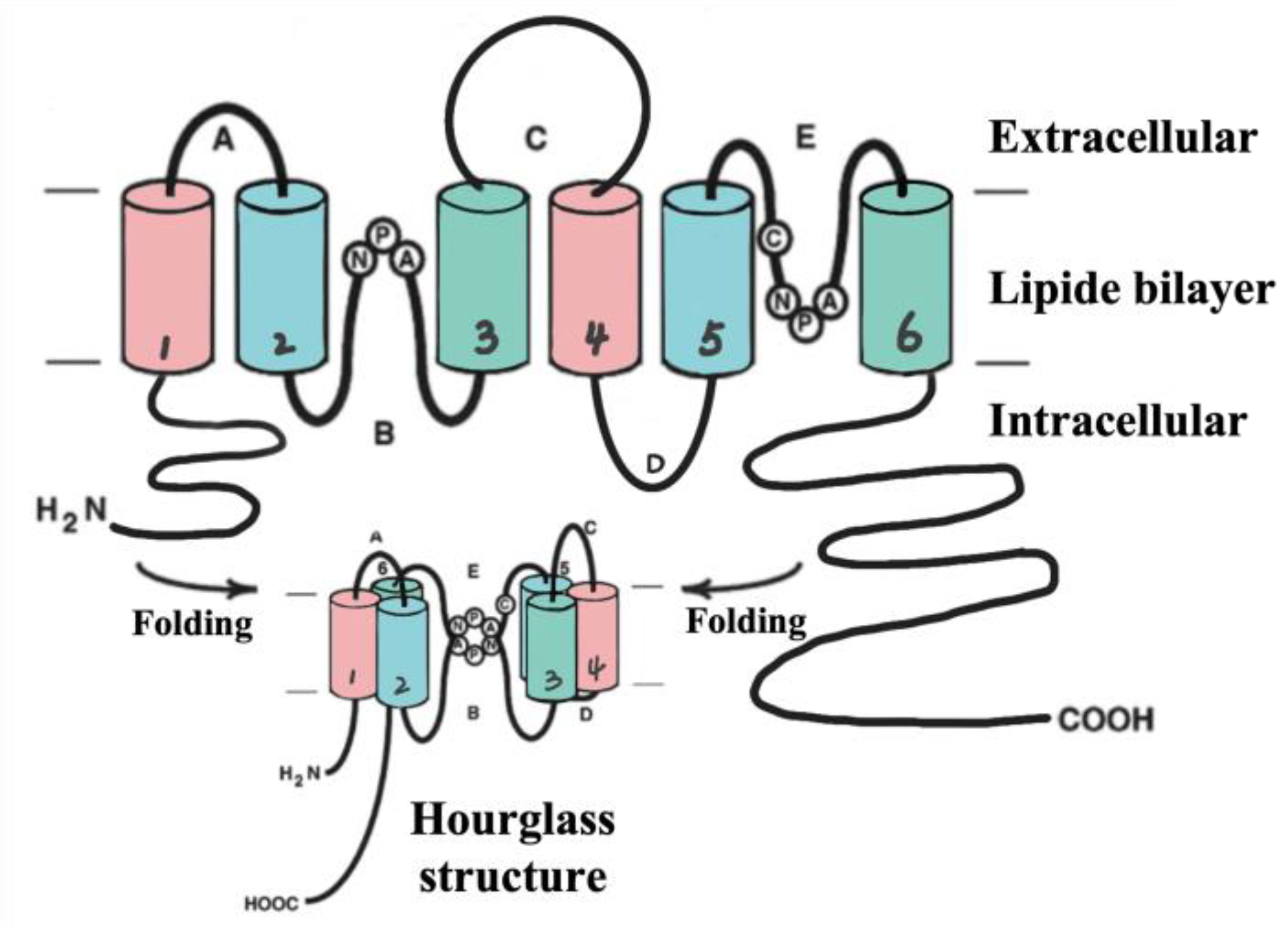 Marinedrugs 21 00406 g003 Marinedrugs 21 00406 g003