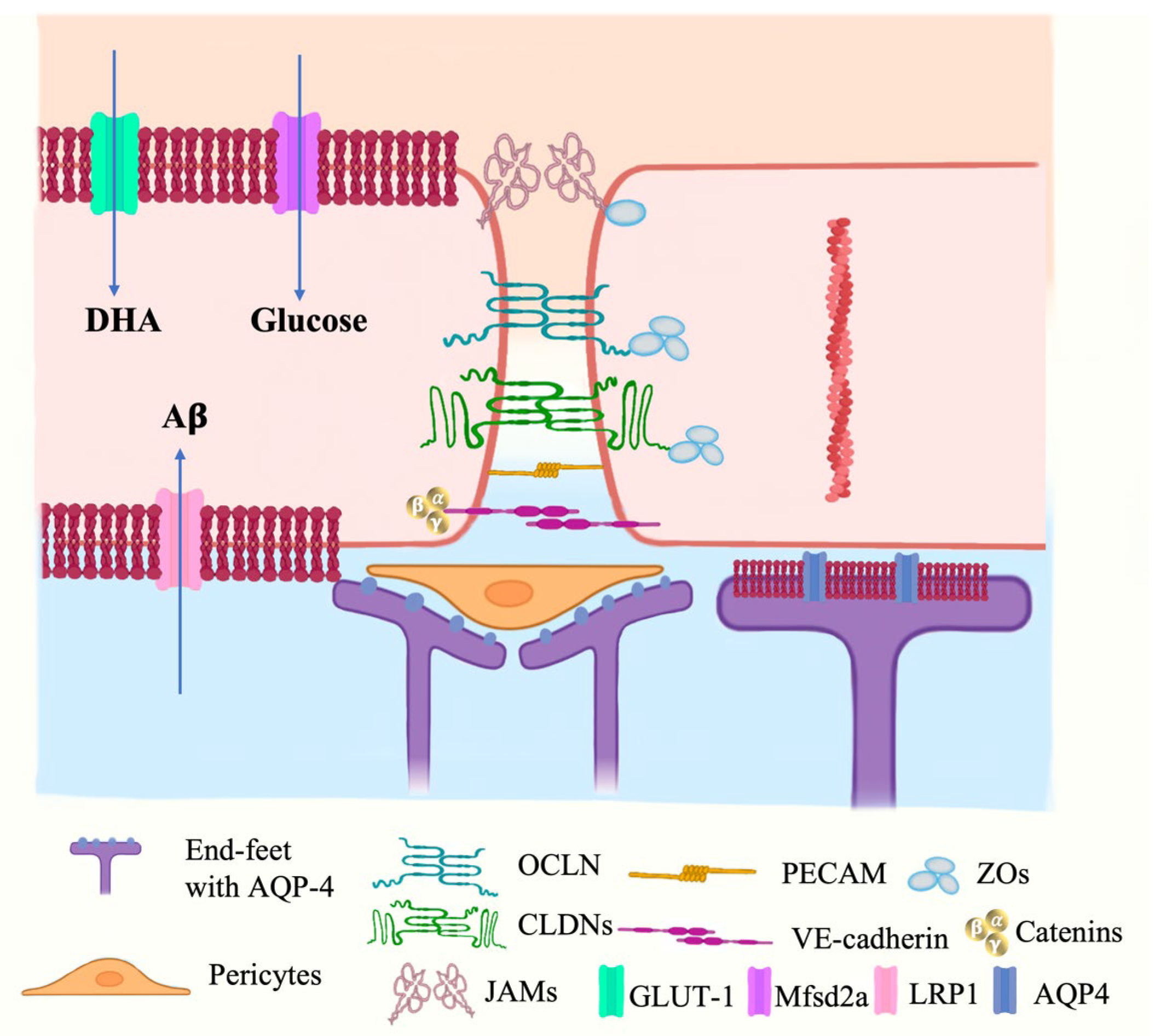 Marinedrugs 21 00406 g004 Marinedrugs 21 00406 g004