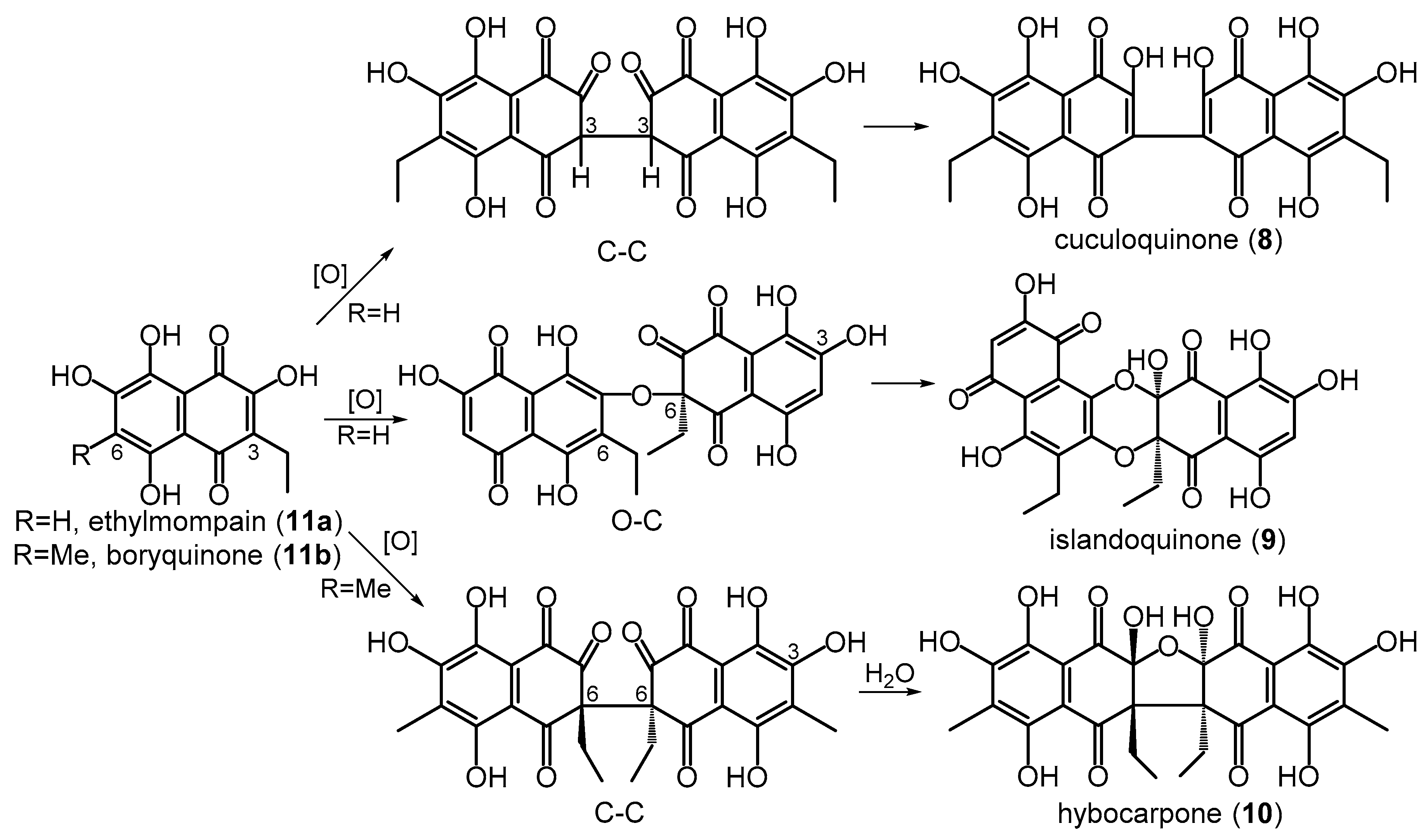 Marinedrugs 21 00407 sch003