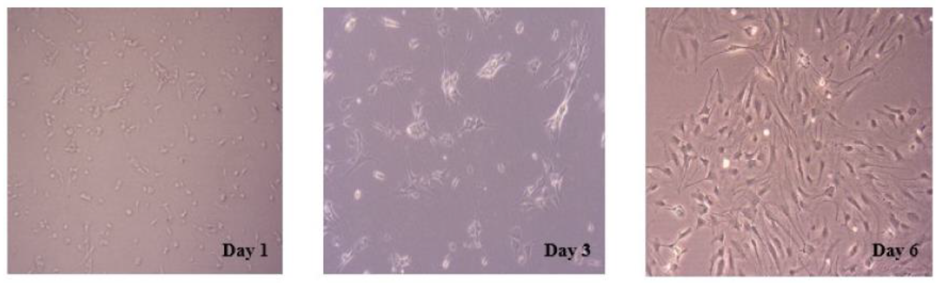 Marinedrugs 21 00410 g001