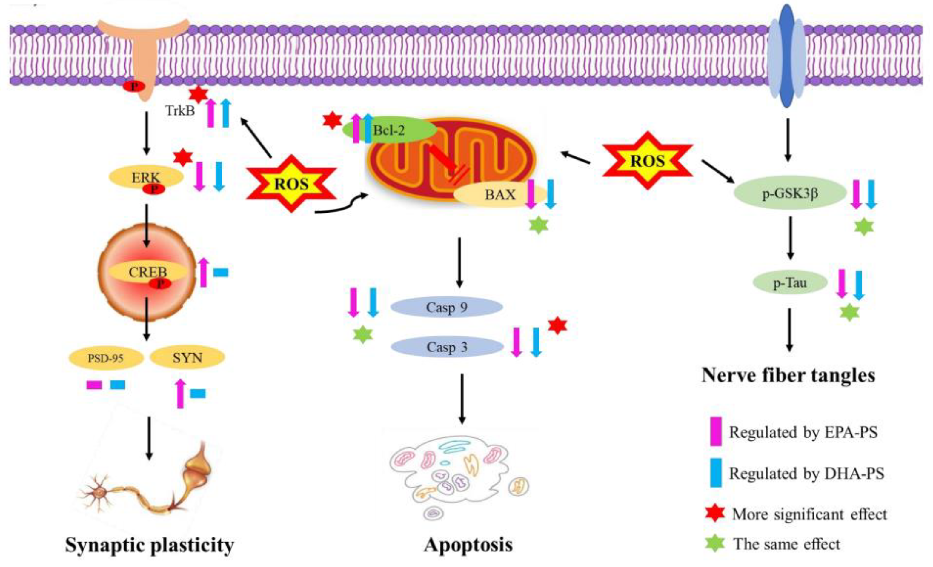 Marinedrugs 21 00410 g008