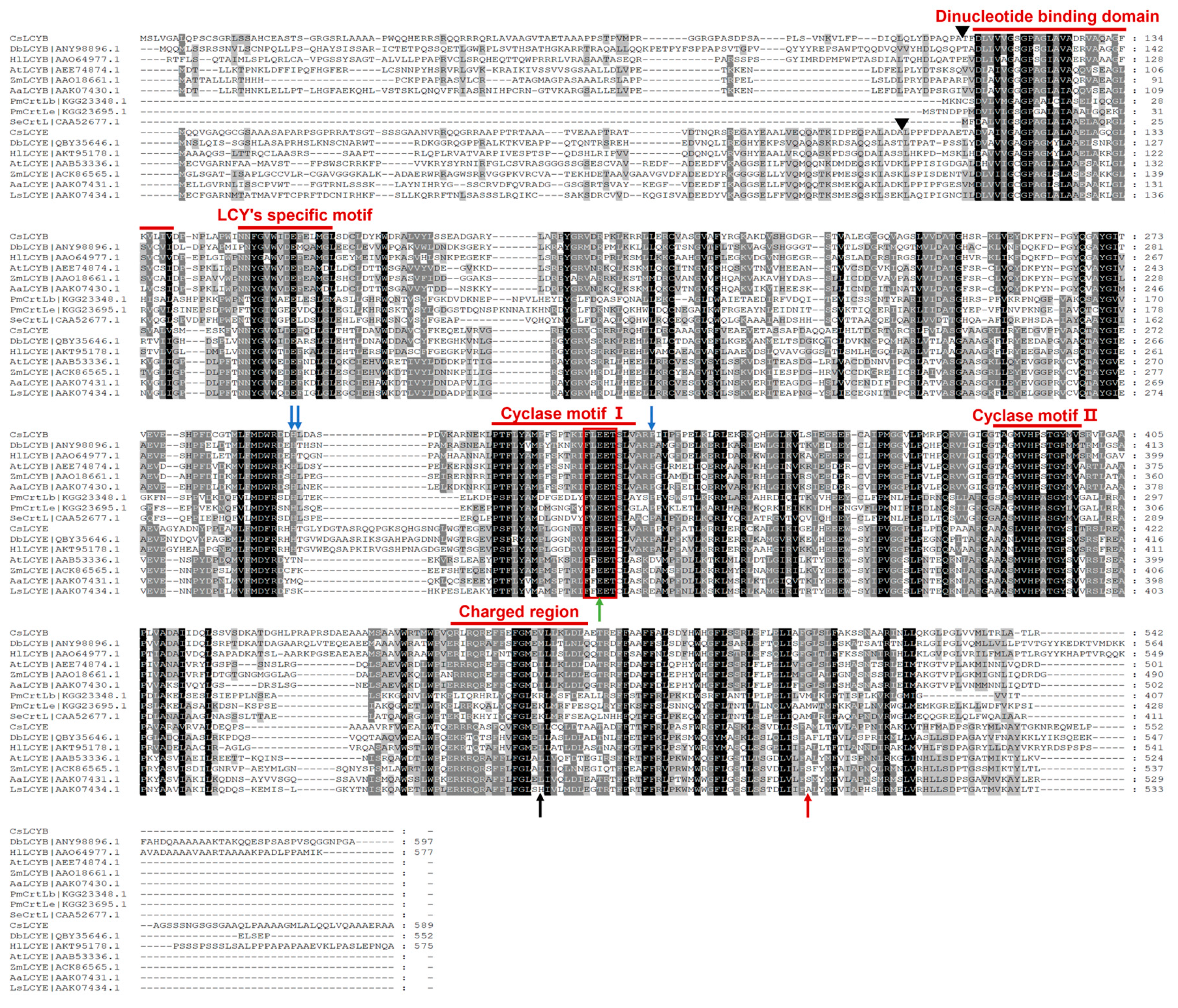 Marinedrugs 21 00418 g001 Marinedrugs 21 00418 g001