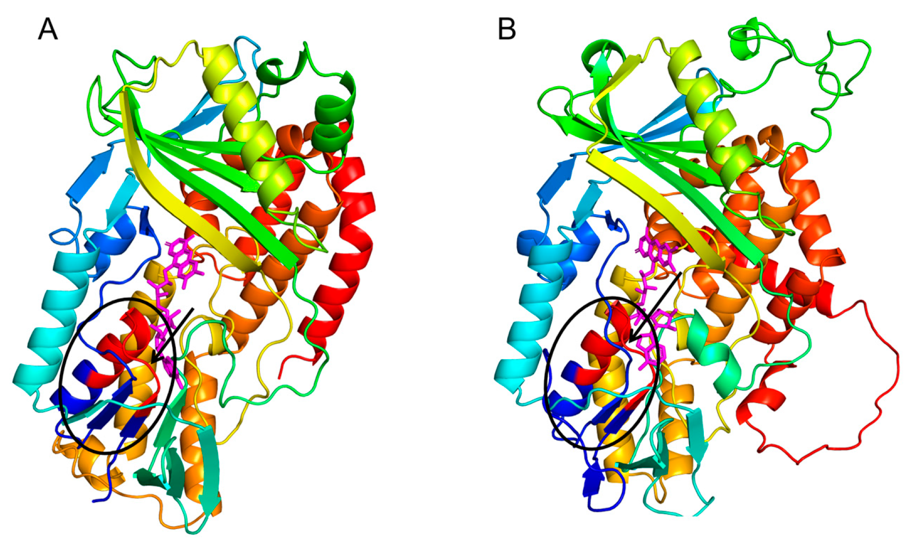 Marinedrugs 21 00418 g002 Marinedrugs 21 00418 g002