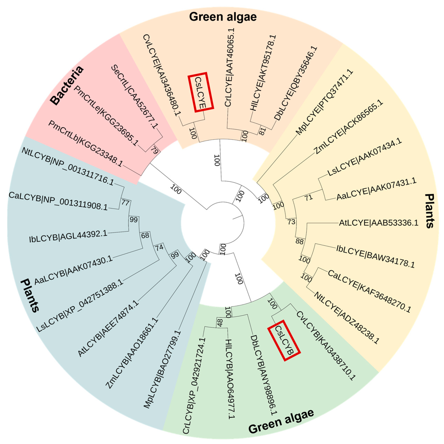 Marinedrugs 21 00418 g003 Marinedrugs 21 00418 g003