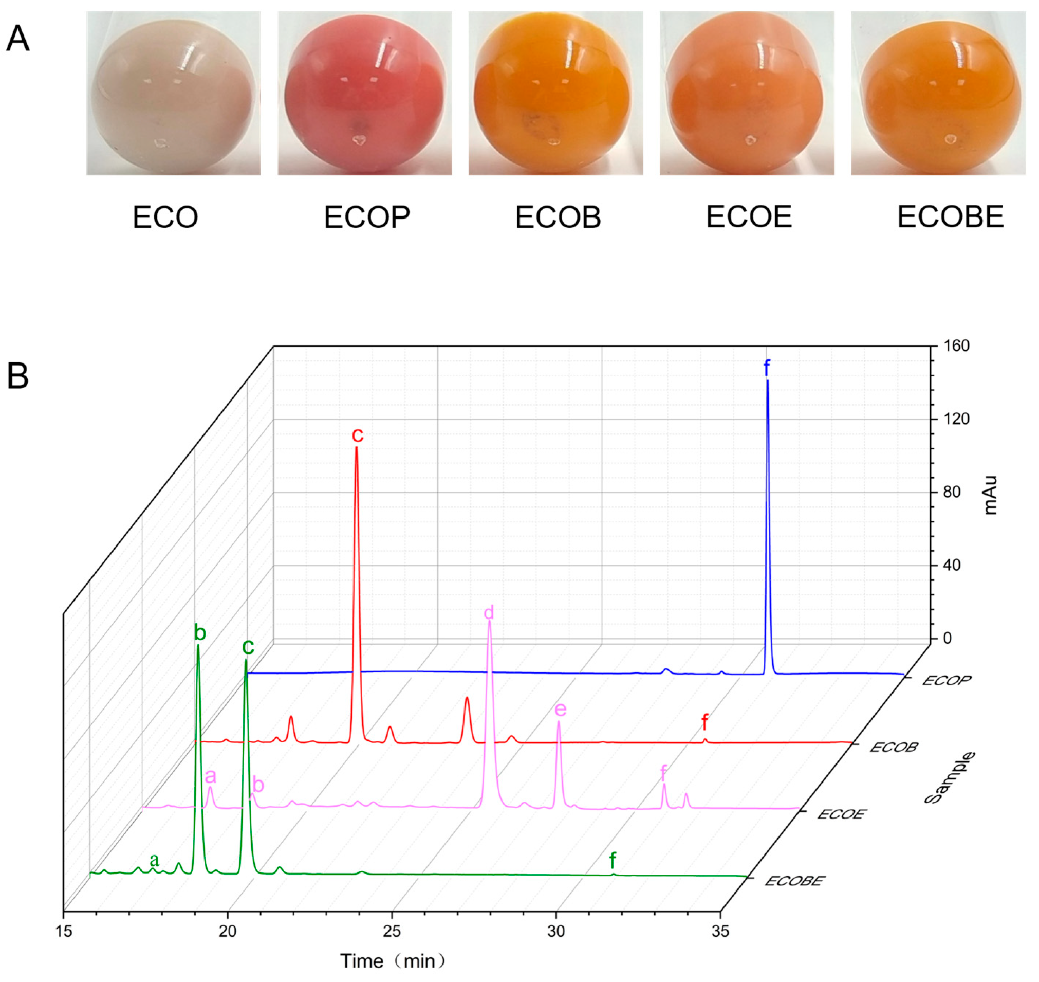 Marinedrugs 21 00418 g005 Marinedrugs 21 00418 g005