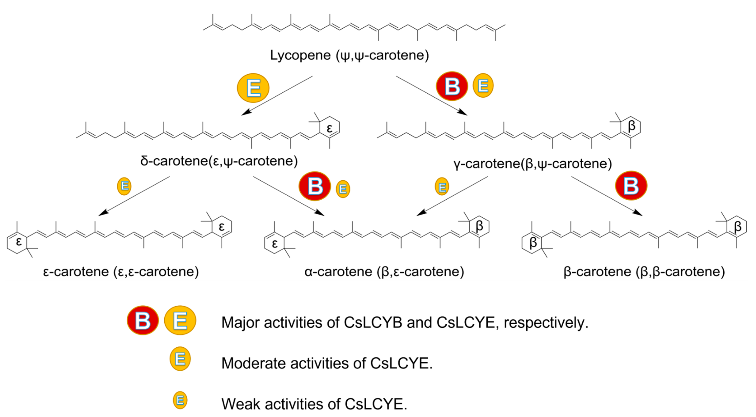 Marinedrugs 21 00418 g006 Marinedrugs 21 00418 g006