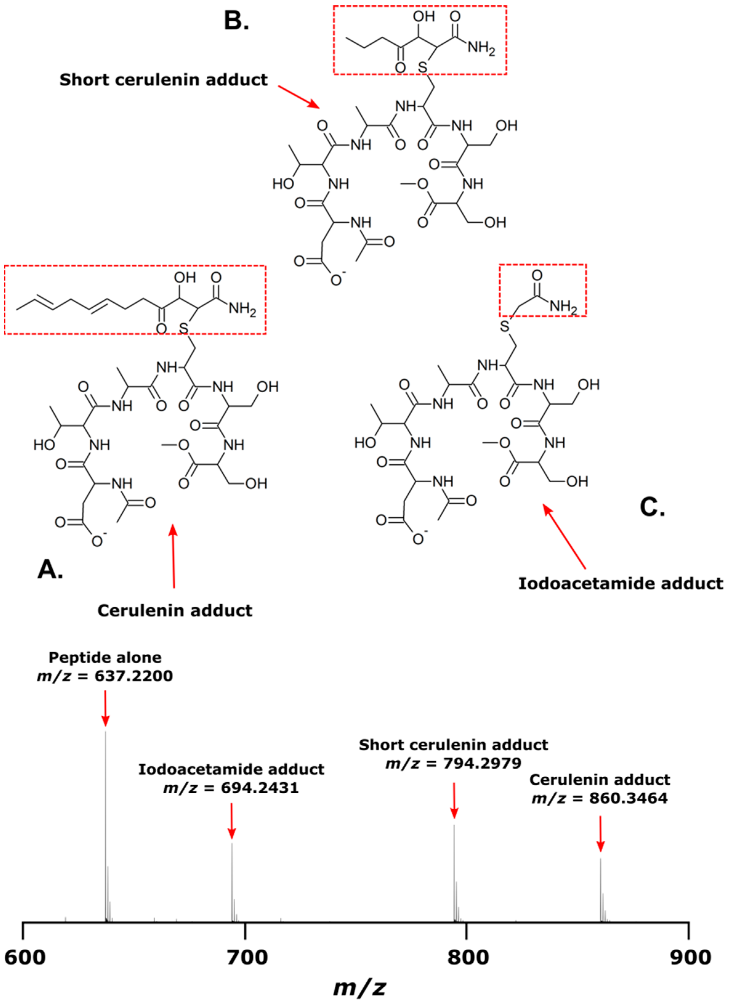 Marinedrugs 21 00425 g010