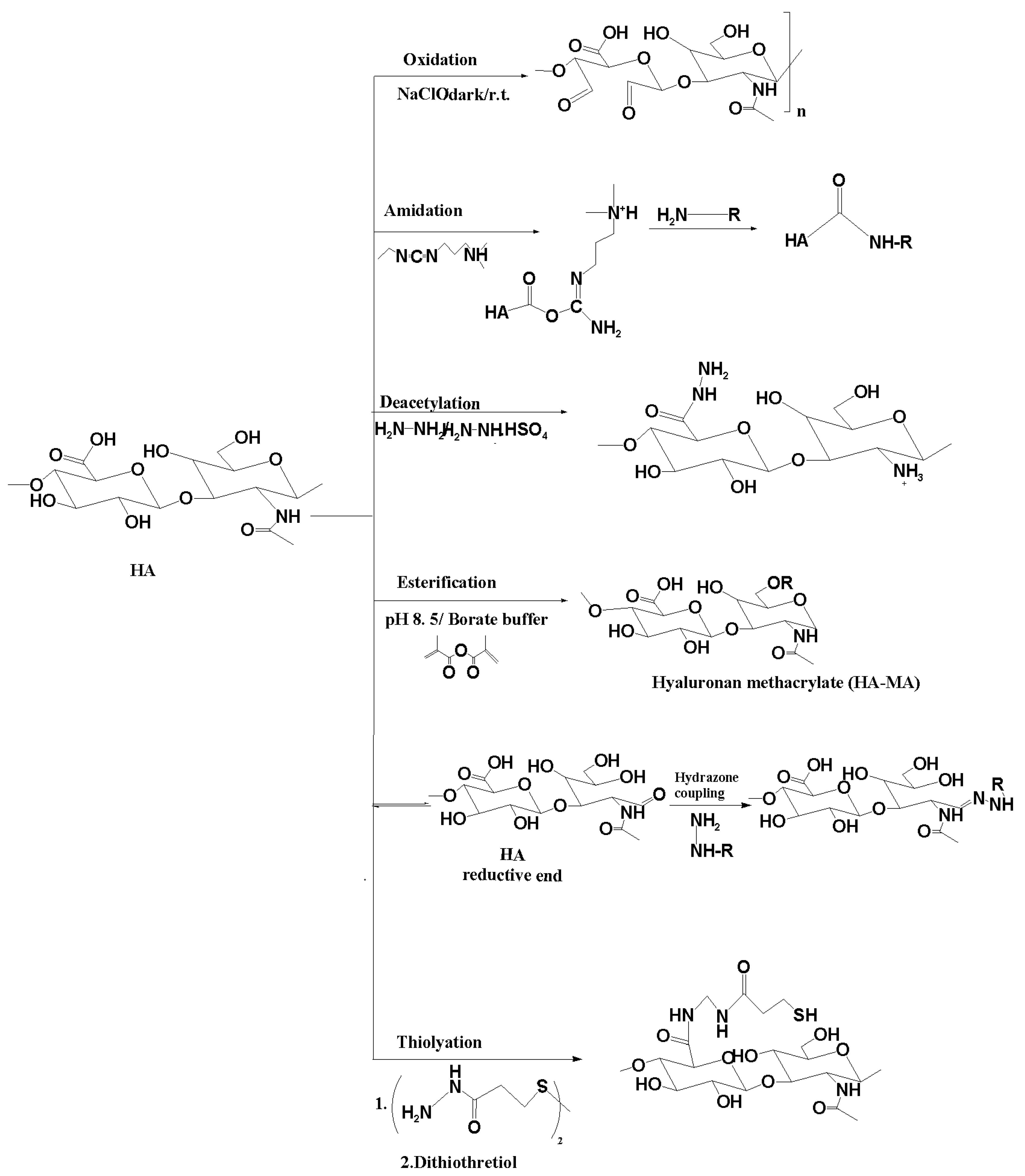 Marinedrugs 21 00426 g003