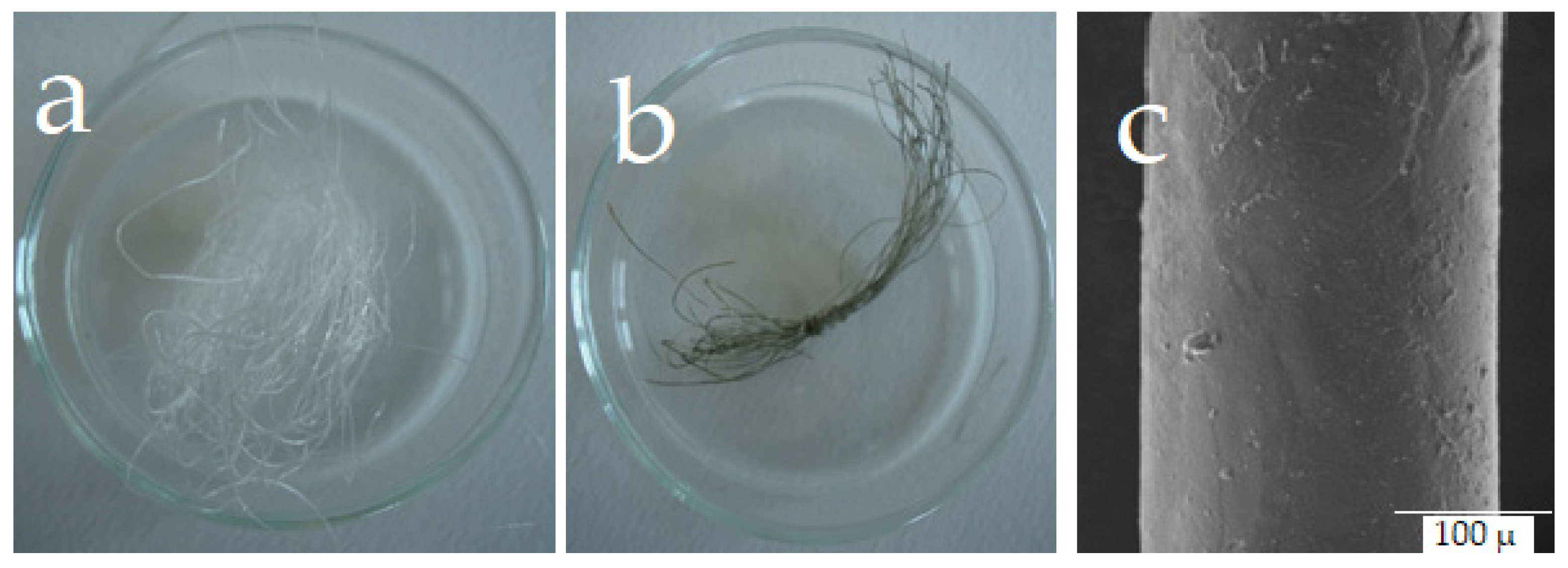 Marinedrugs 21 00426 g005