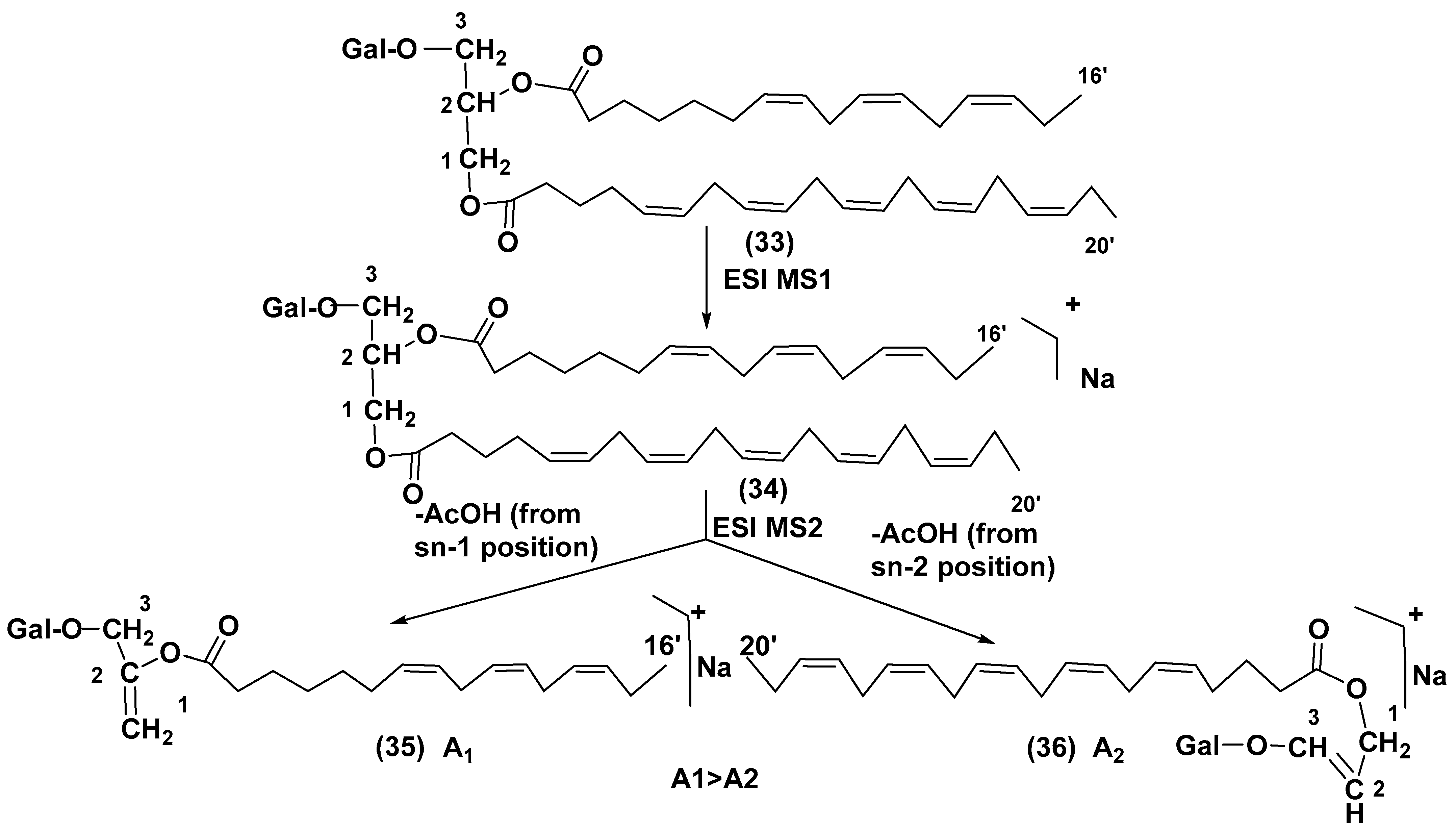 Marinedrugs 21 00427 g005