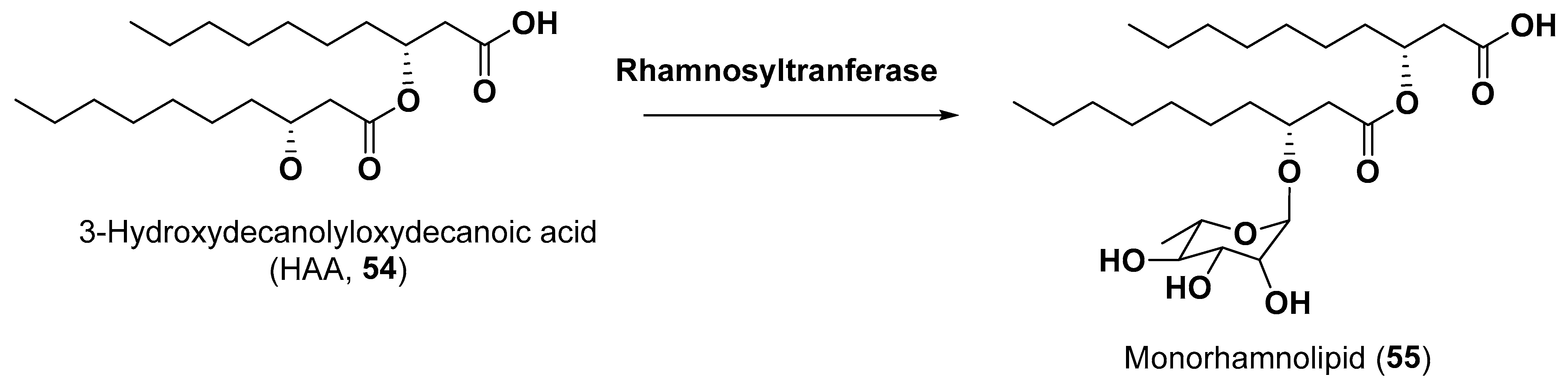 Marinedrugs 21 00427 g009