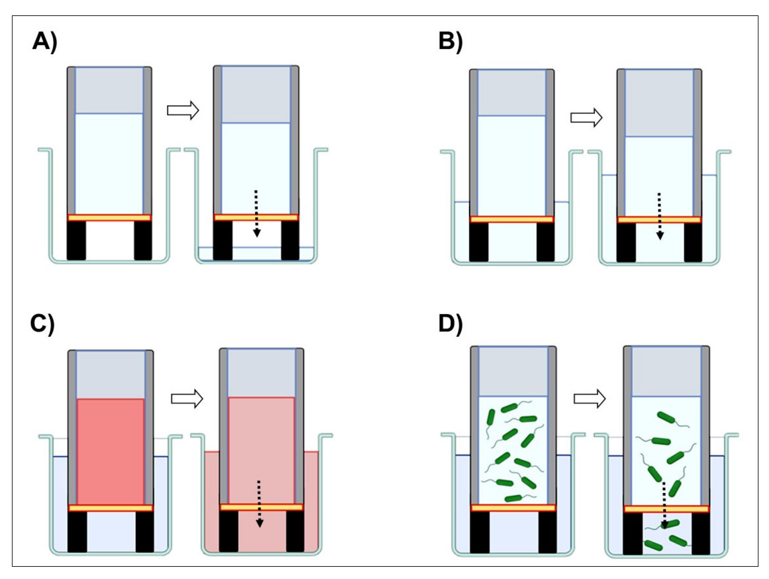Marinedrugs 21 00428 g004 Marinedrugs 21 00428 g004