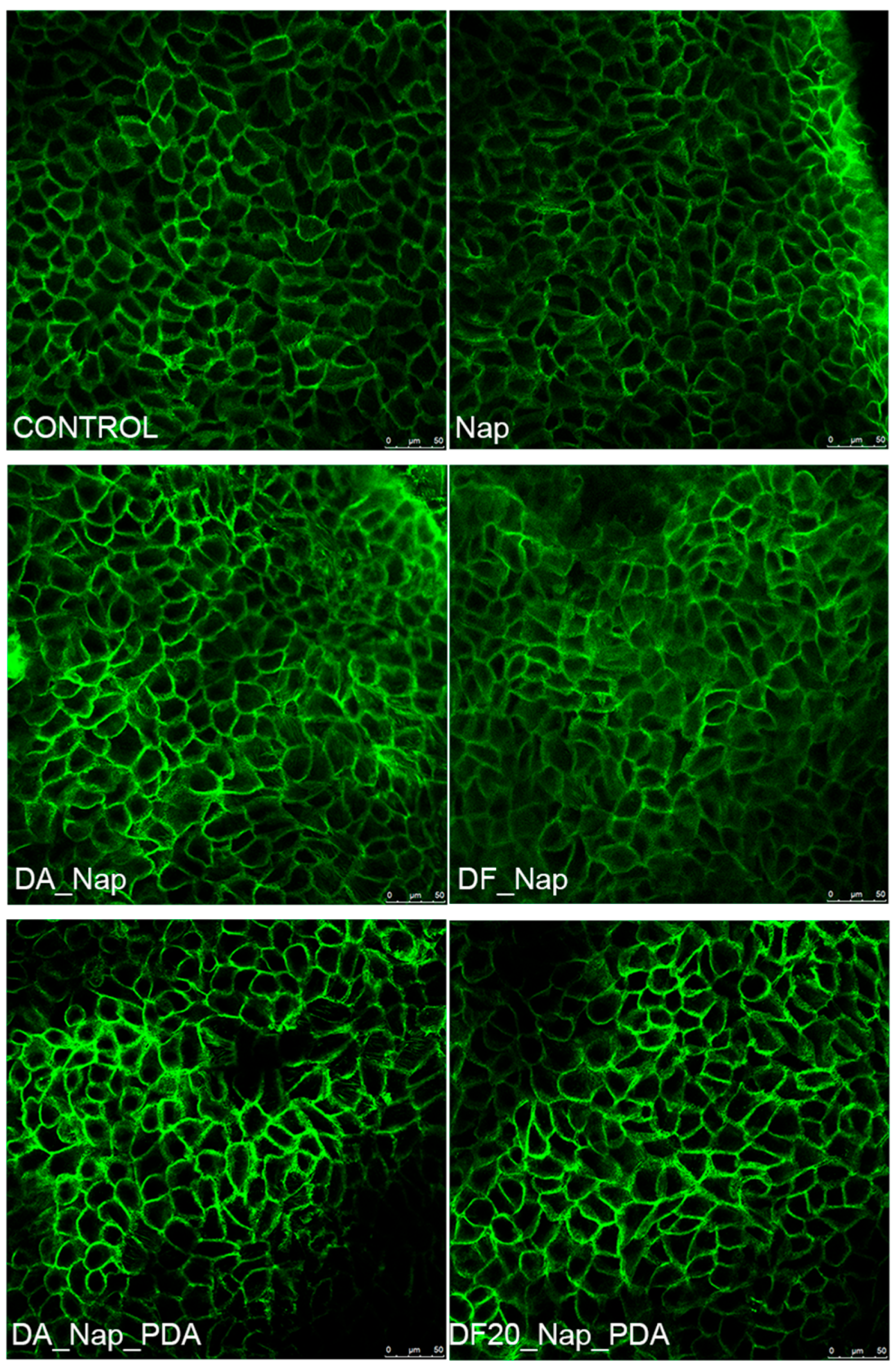 Marinedrugs 21 00438 g009