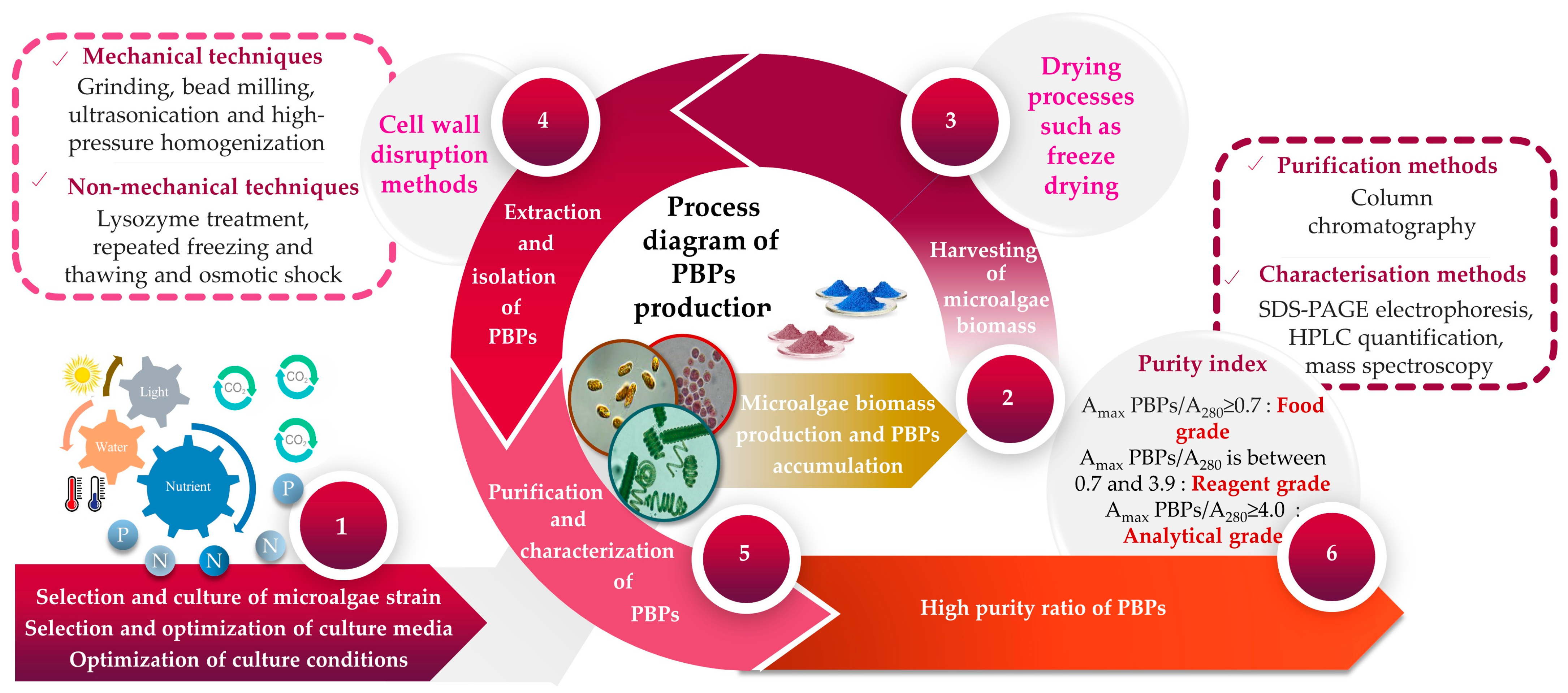 Marinedrugs 21 00440 g002 Marinedrugs 21 00440 g002