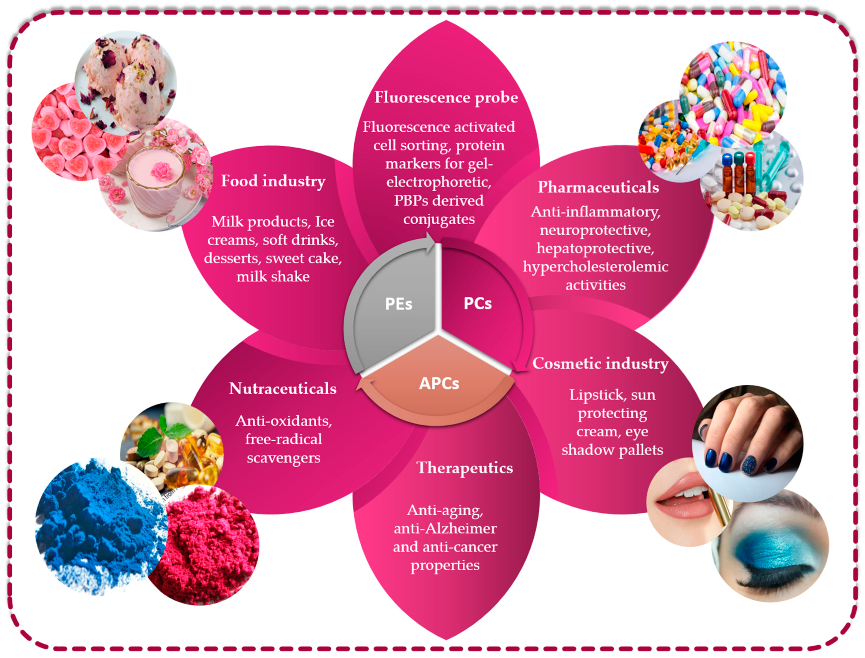 Marinedrugs 21 00440 g005 Marinedrugs 21 00440 g005