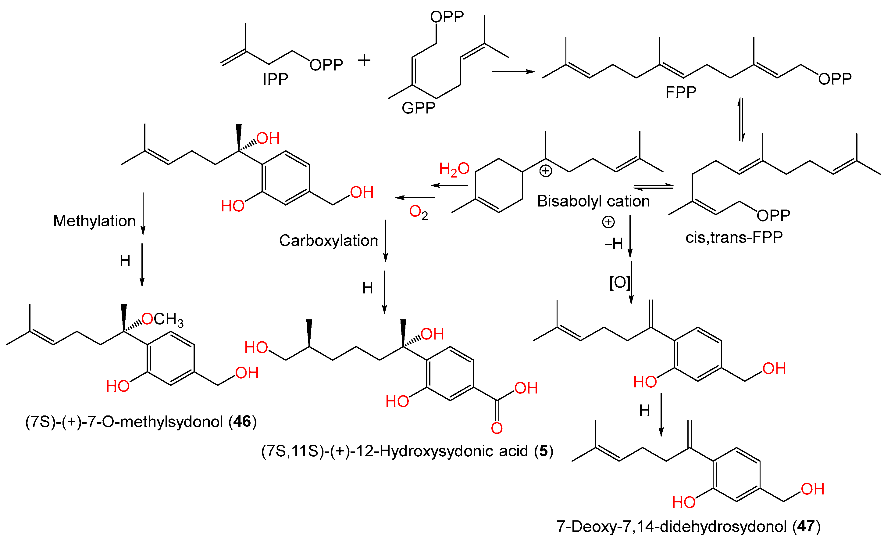 Marinedrugs 21 00441 sch001 Marinedrugs 21 00441 sch001