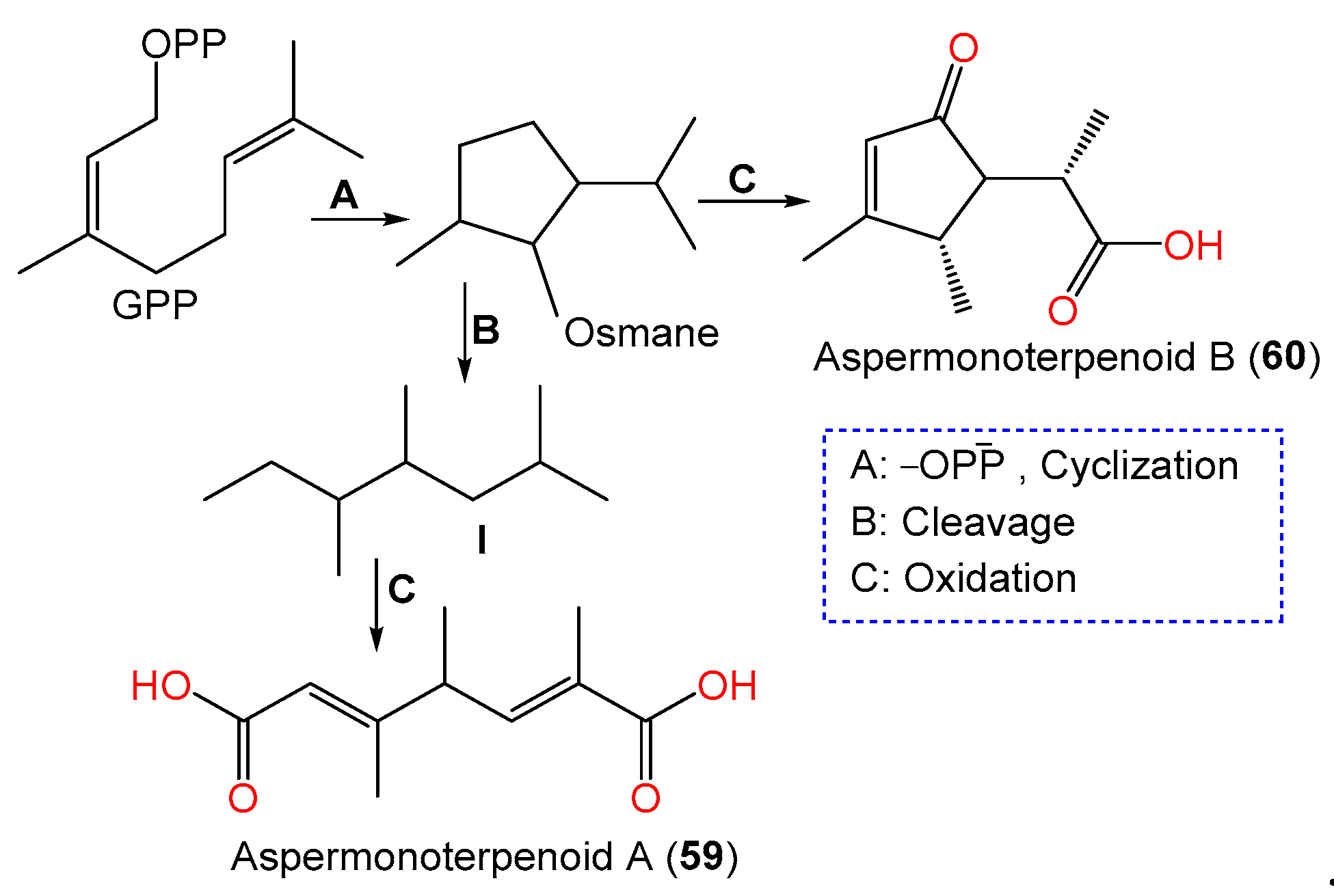 Marinedrugs 21 00441 sch002 Marinedrugs 21 00441 sch002
