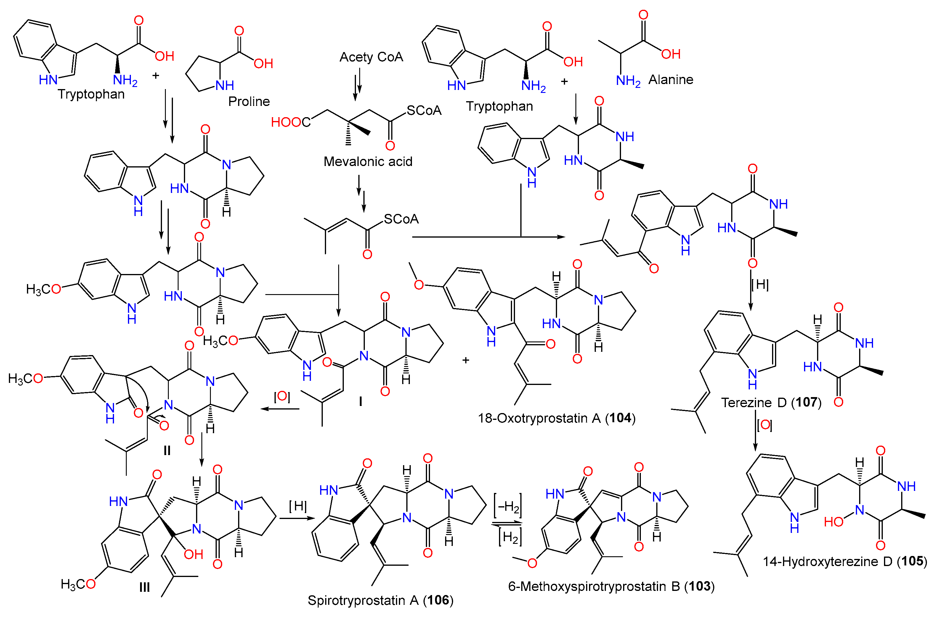 Marinedrugs 21 00441 sch003 Marinedrugs 21 00441 sch003
