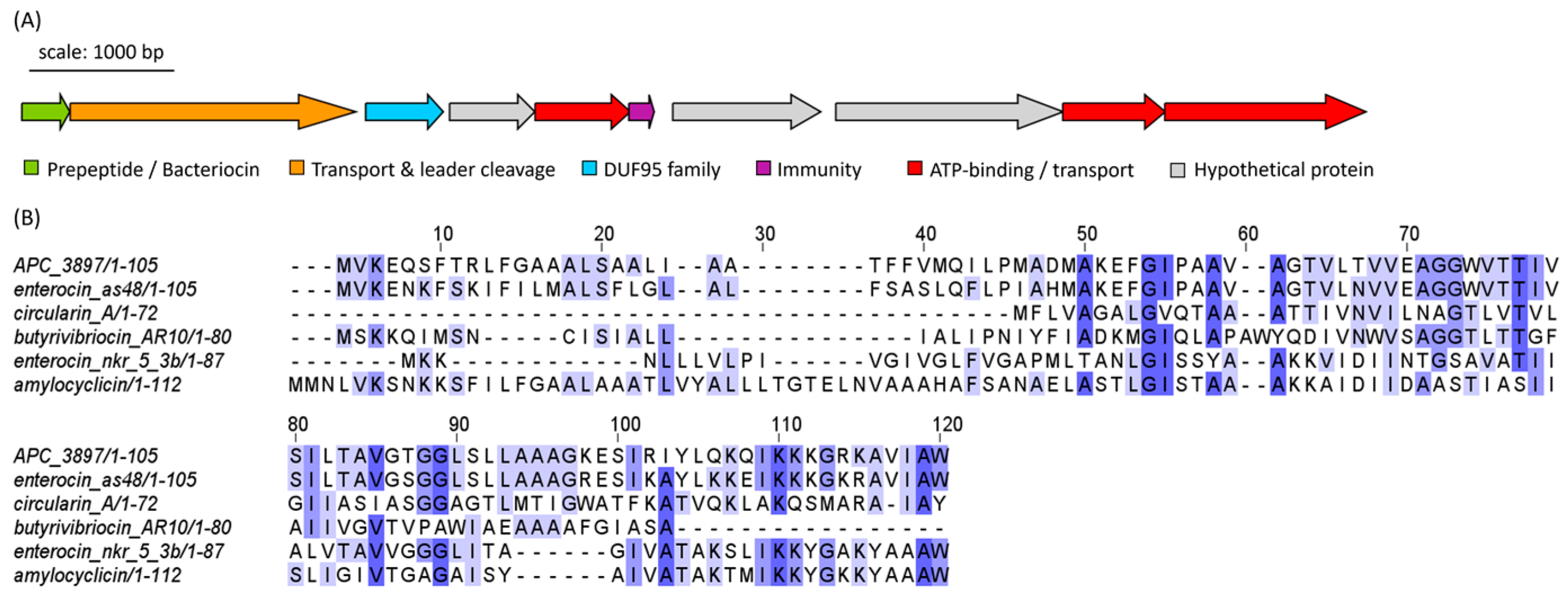 Marinedrugs 21 00444 g009 Marinedrugs 21 00444 g009