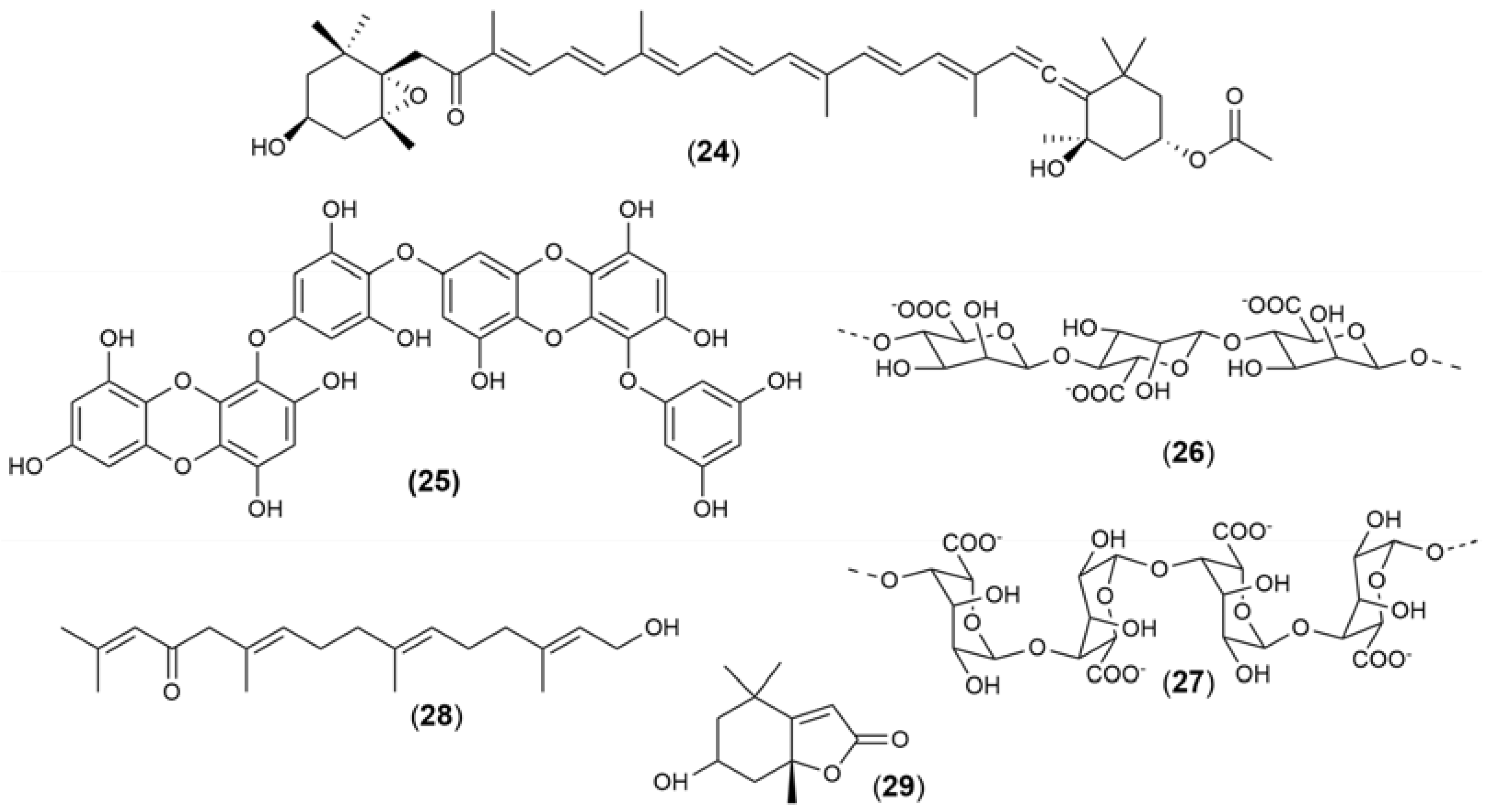 Marinedrugs 21 00451 g009 550