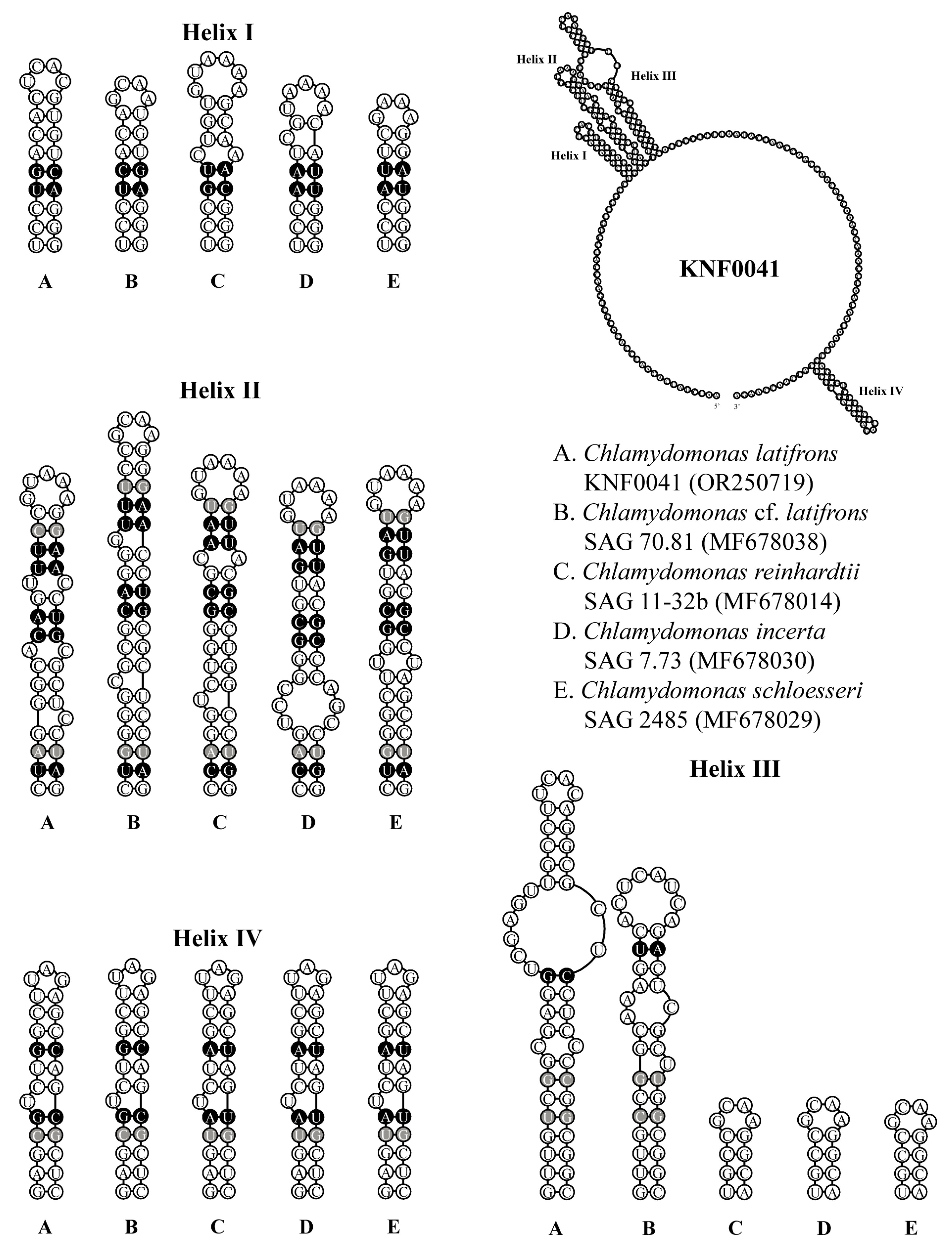 Marinedrugs 21 00454 g005
