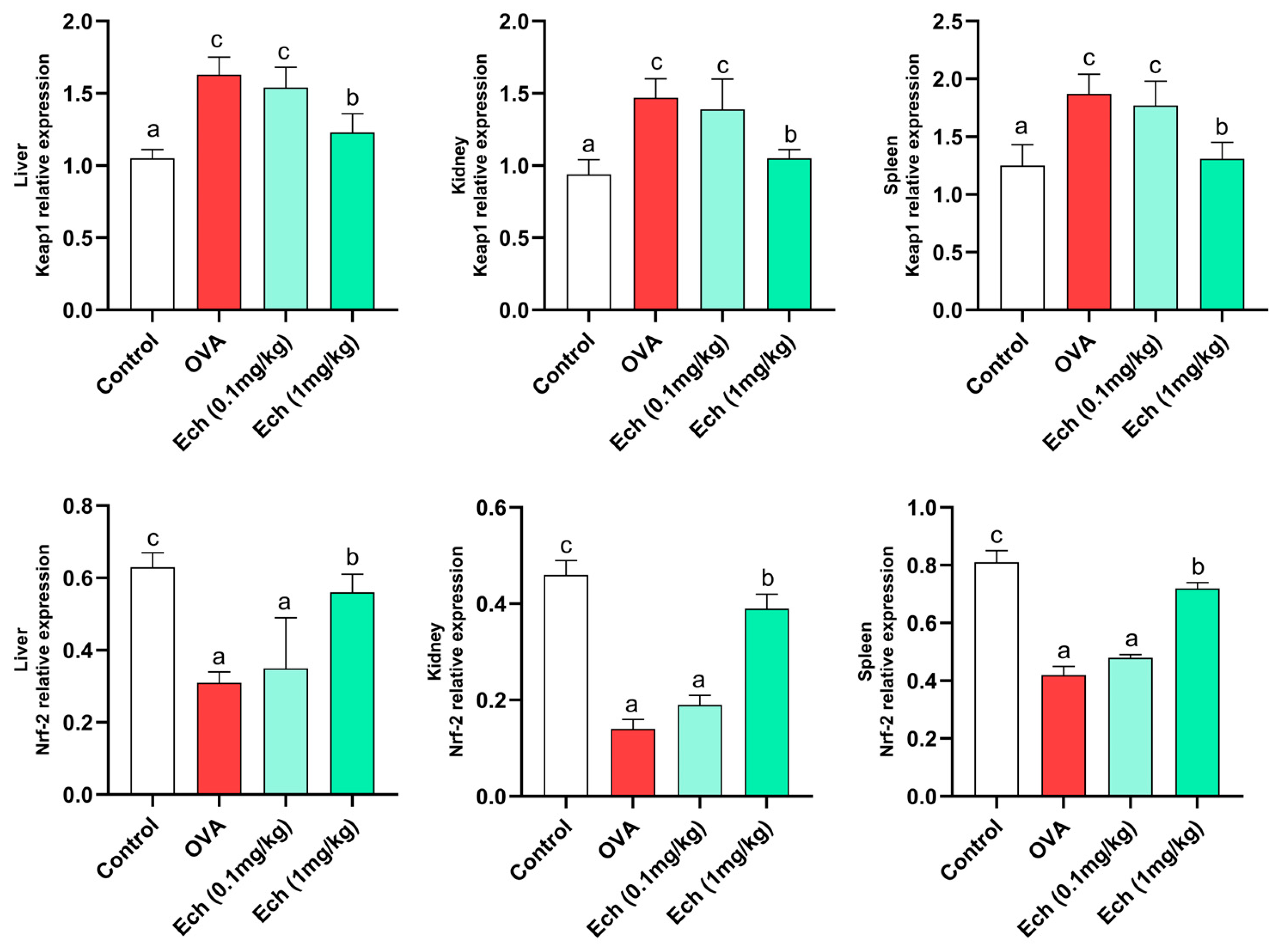 Marinedrugs 21 00455 g010