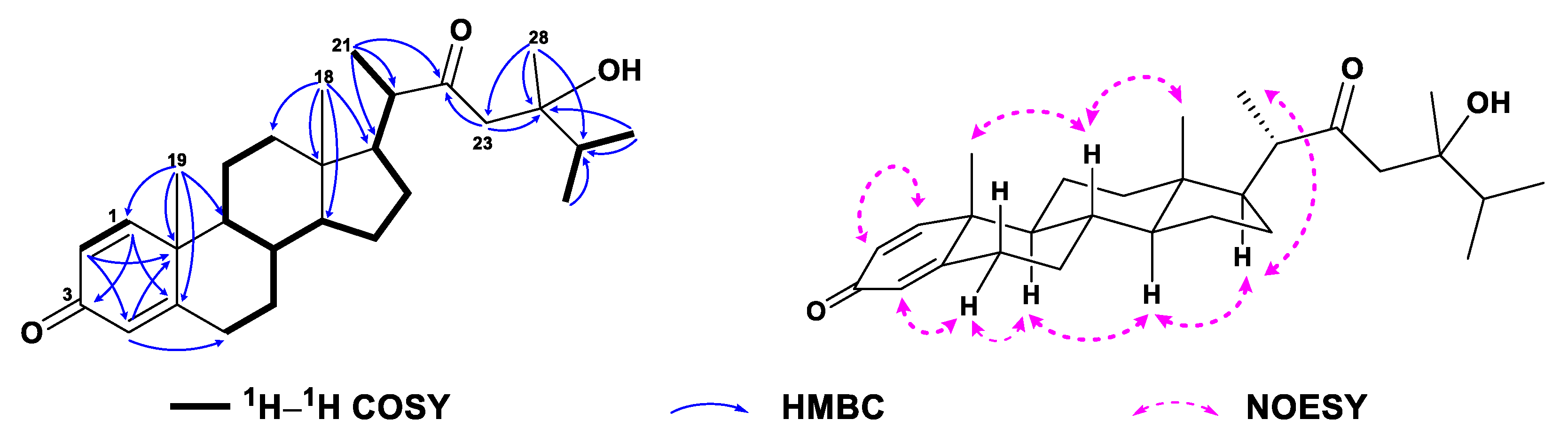 Marinedrugs 21 00457 g002
